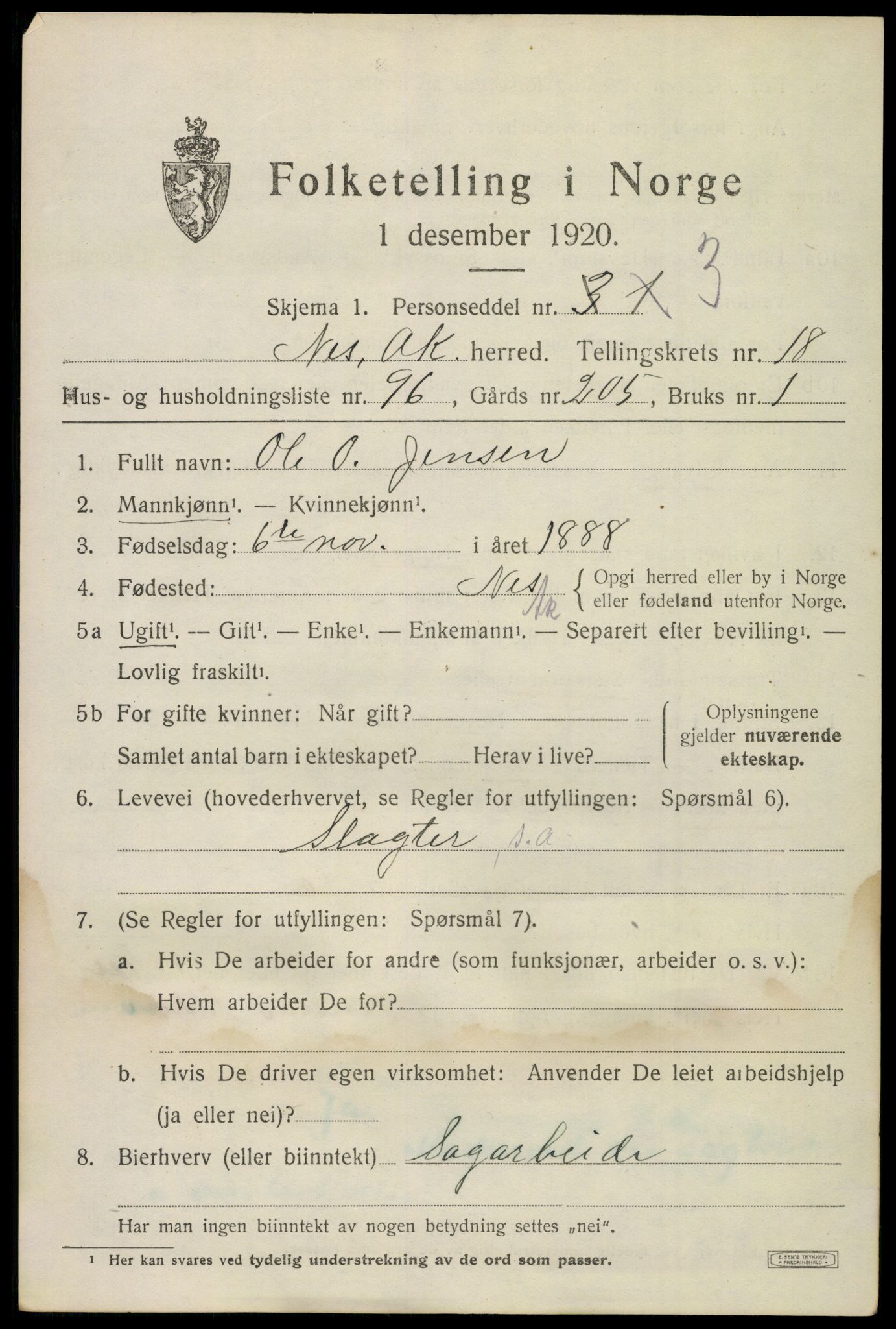 SAO, 1920 census for Nes, 1920, p. 18896