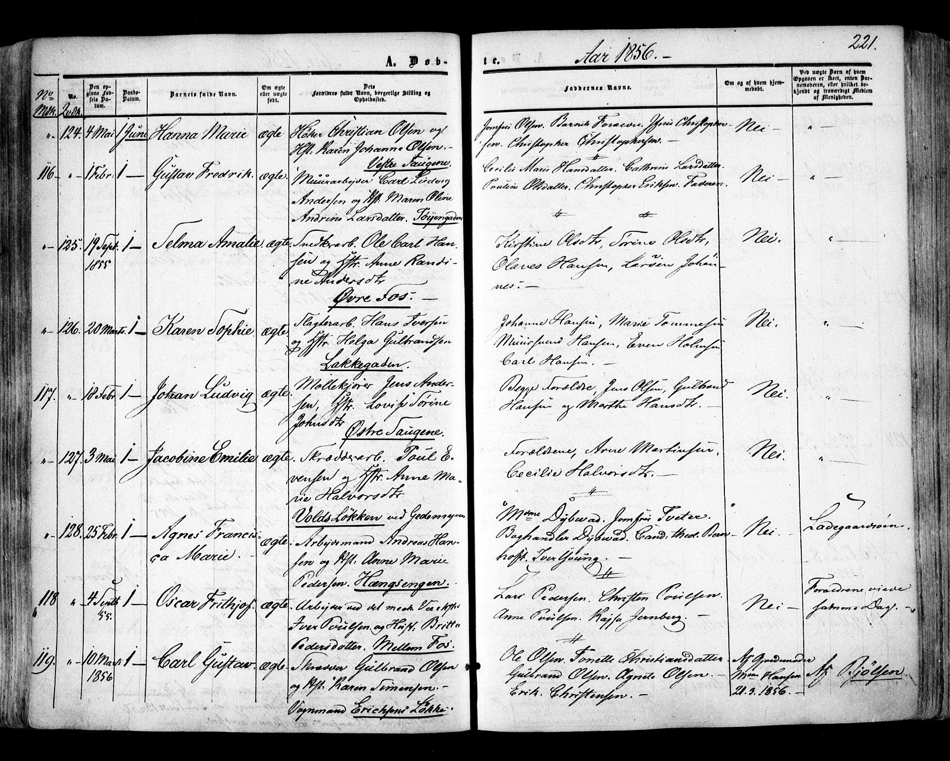 Aker prestekontor kirkebøker, SAO/A-10861/F/L0020: Parish register (official) no. 20, 1853-1857, p. 221