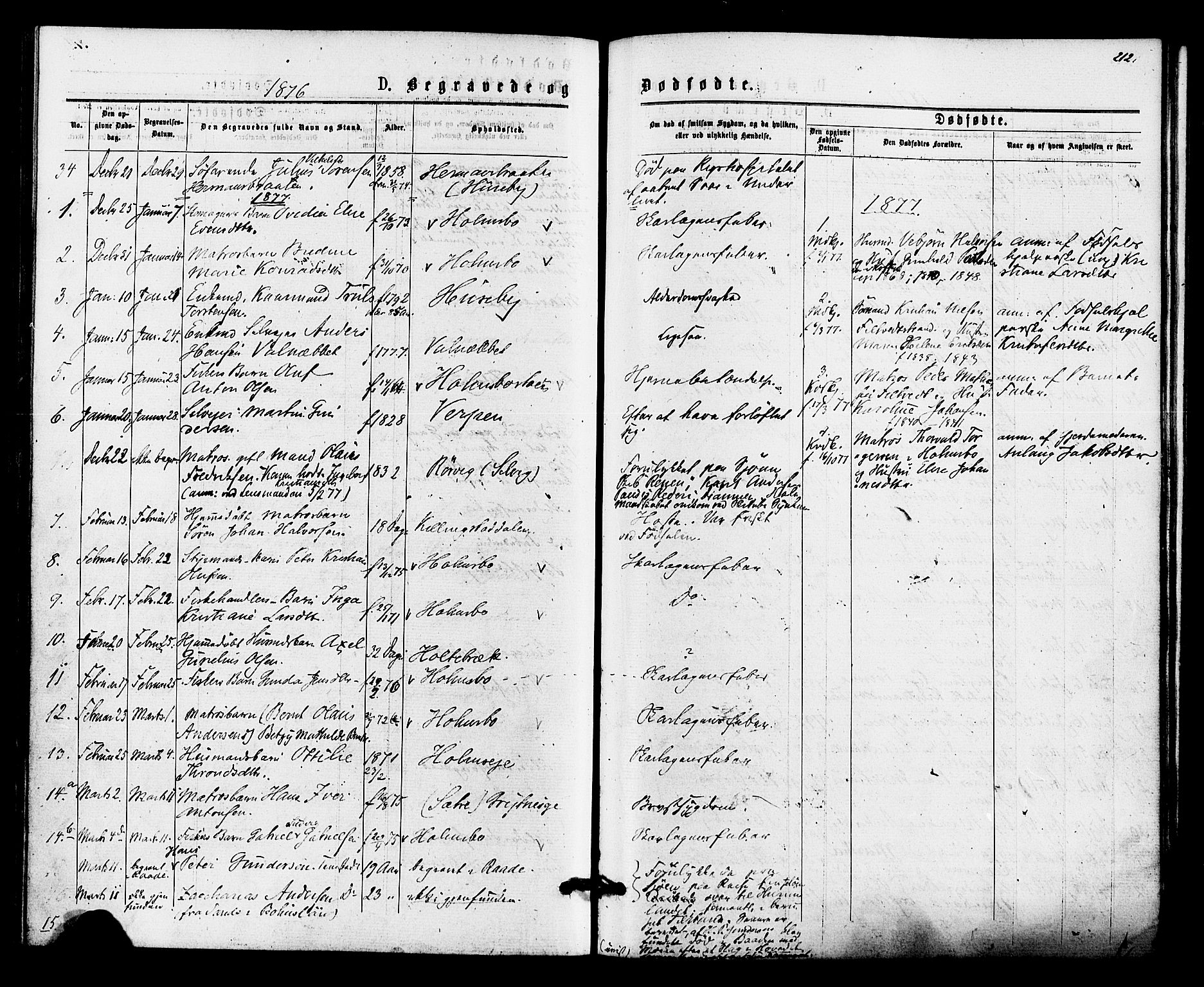 Hurum kirkebøker, AV/SAKO-A-229/F/Fa/L0013: Parish register (official) no. 13, 1876-1881, p. 212