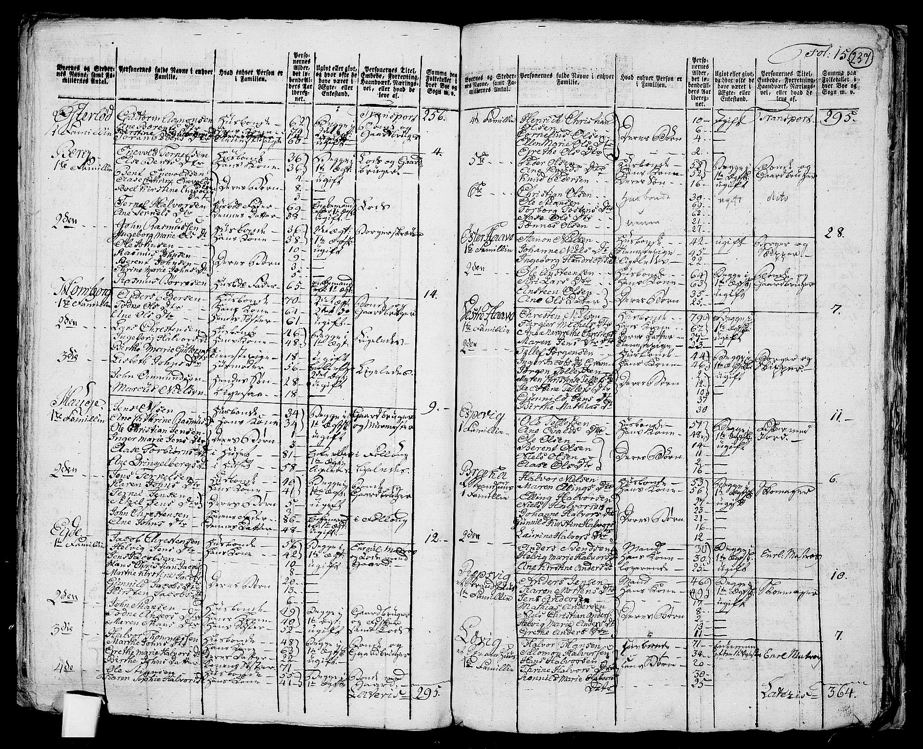RA, 1801 census for 0924P Homedal, 1801, p. 236b-237a