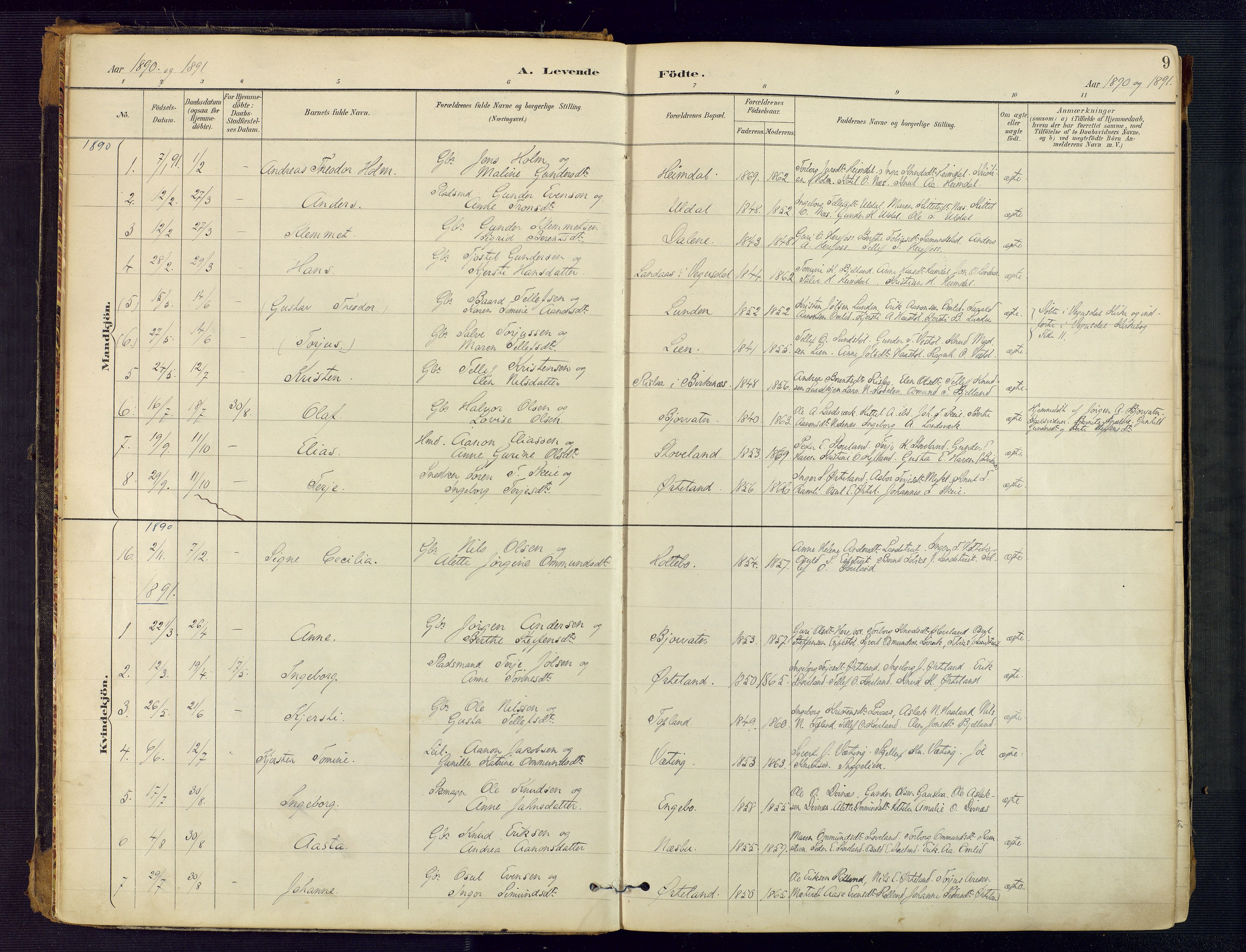 Herefoss sokneprestkontor, SAK/1111-0019/F/Fa/Faa/L0003: Parish register (official) no. A 3, 1887-1930, p. 9