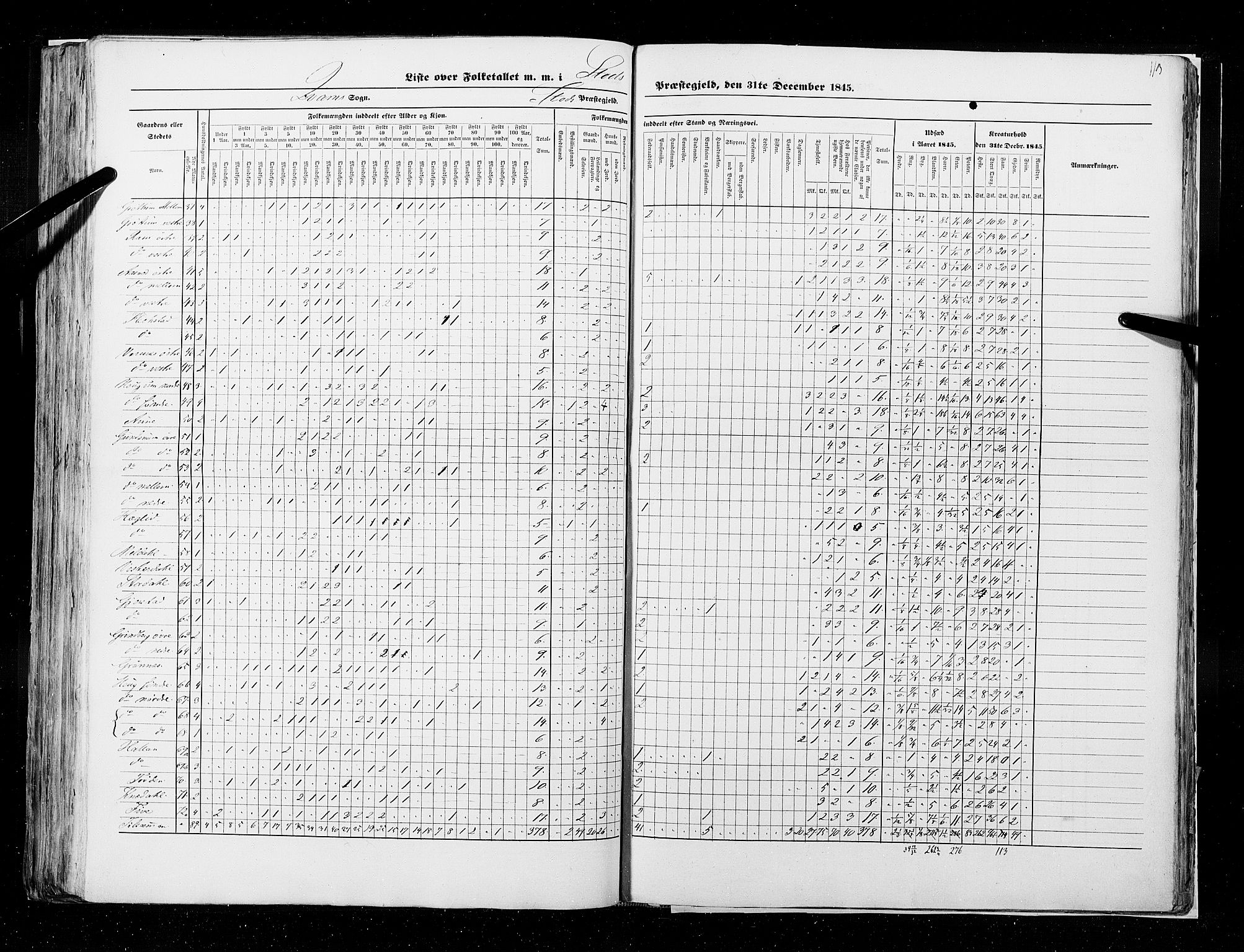 RA, Census 1845, vol. 9A: Nordre Trondhjems amt, 1845, p. 113