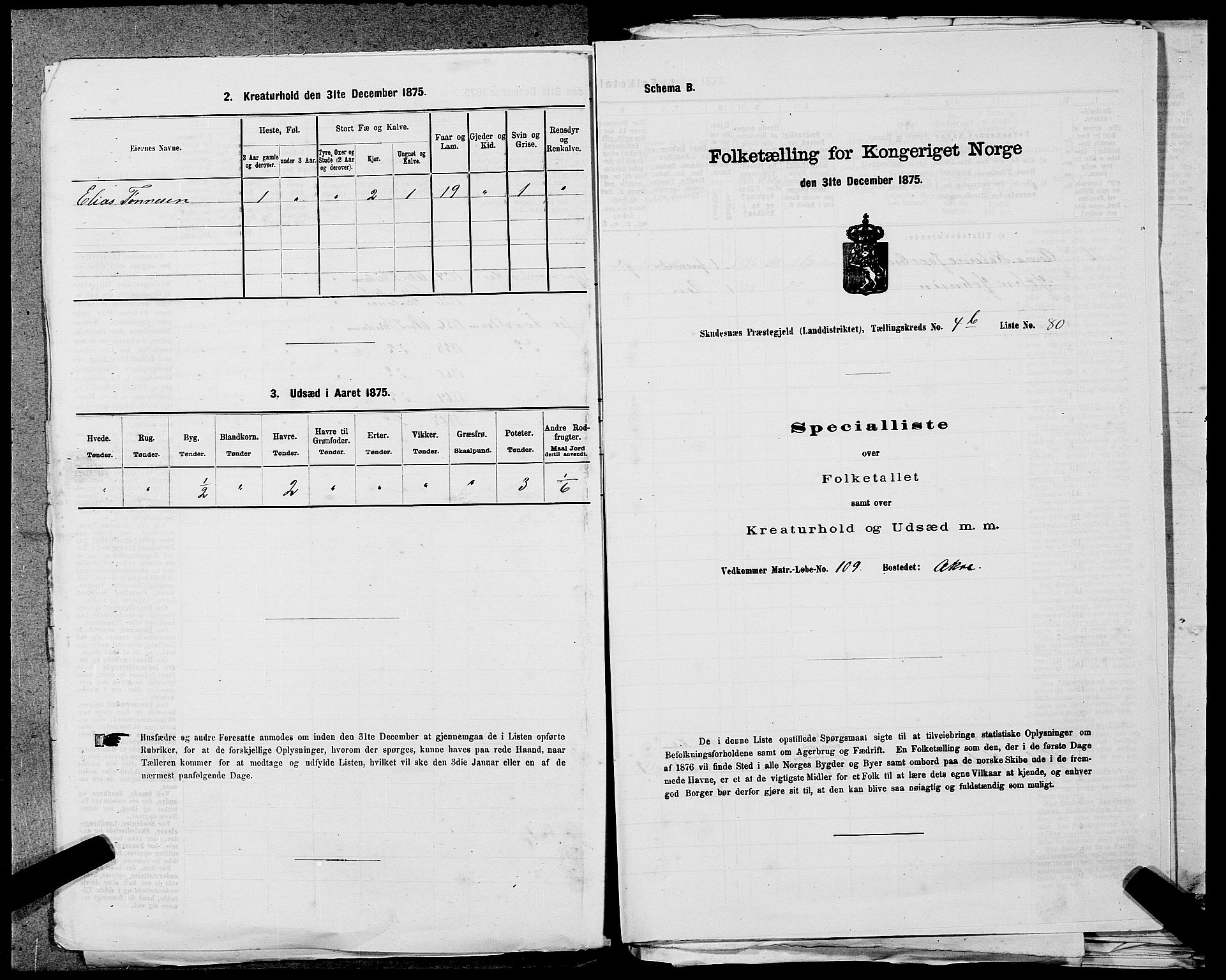 SAST, 1875 census for 1150L Skudenes/Falnes, Åkra og Ferkingstad, 1875, p. 558