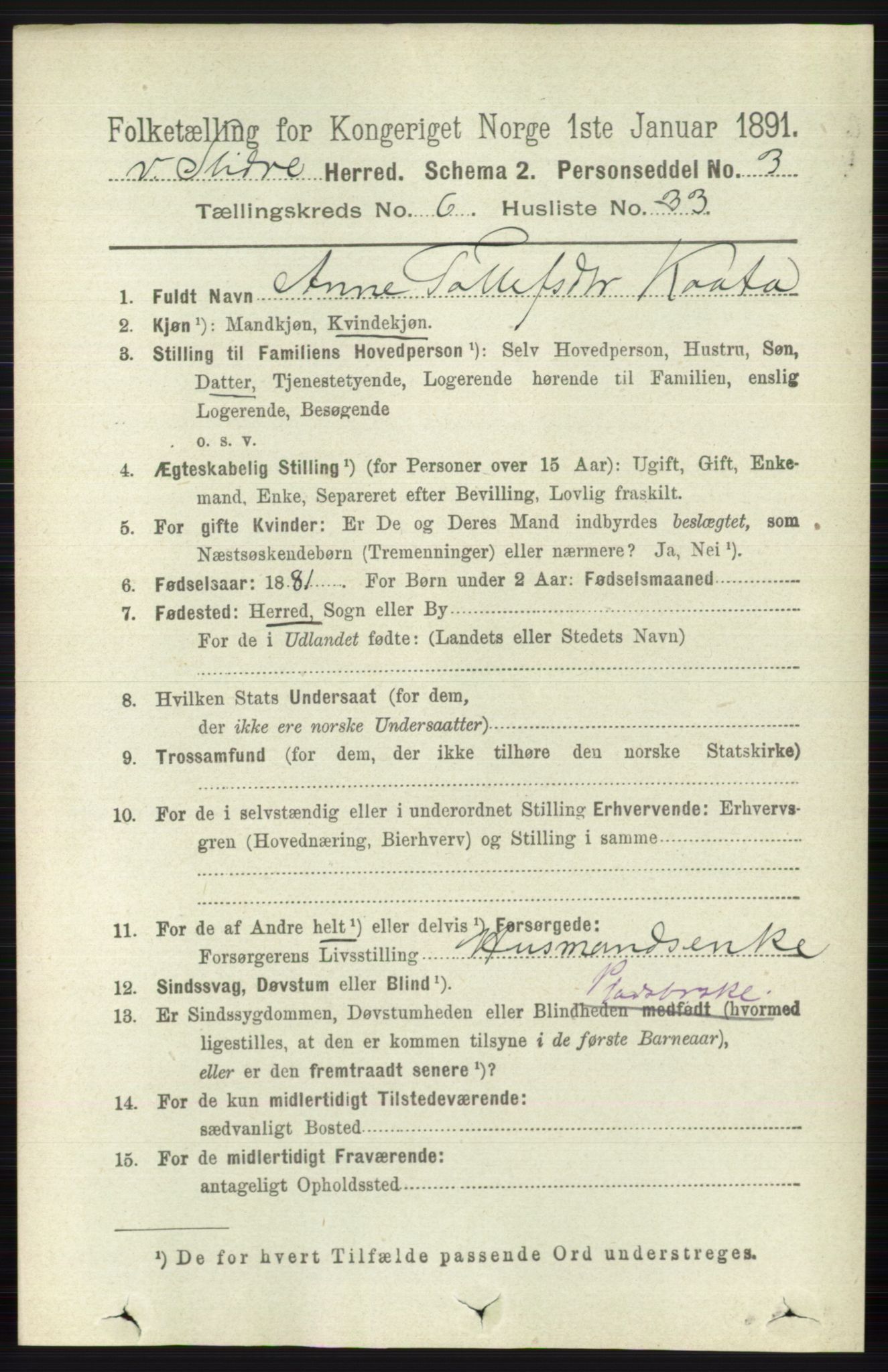 RA, 1891 census for 0543 Vestre Slidre, 1891, p. 2266