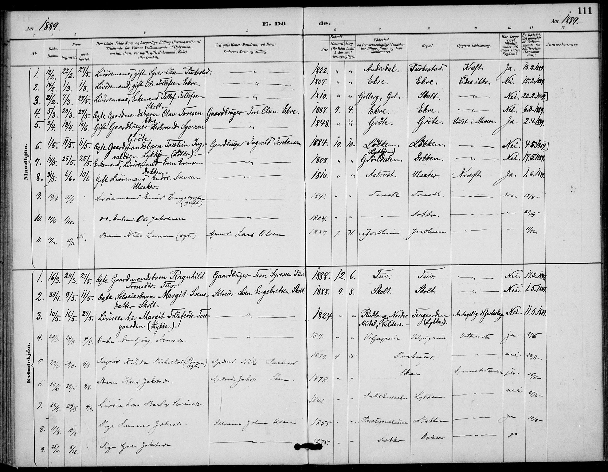 Gol kirkebøker, SAKO/A-226/F/Fb/L0001: Parish register (official) no. II 1, 1887-1900, p. 111