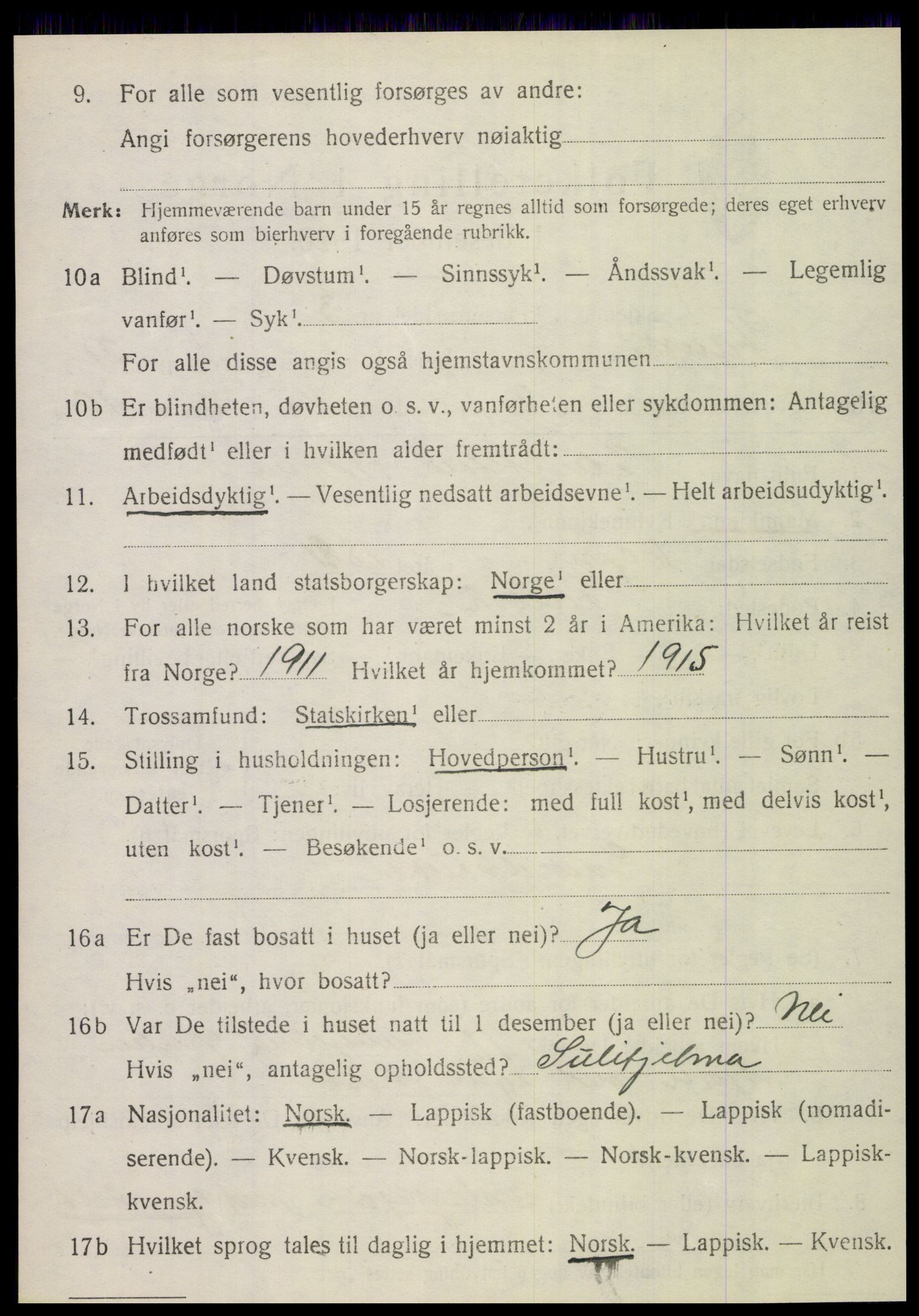 SAT, 1920 census for Fauske, 1920, p. 12915