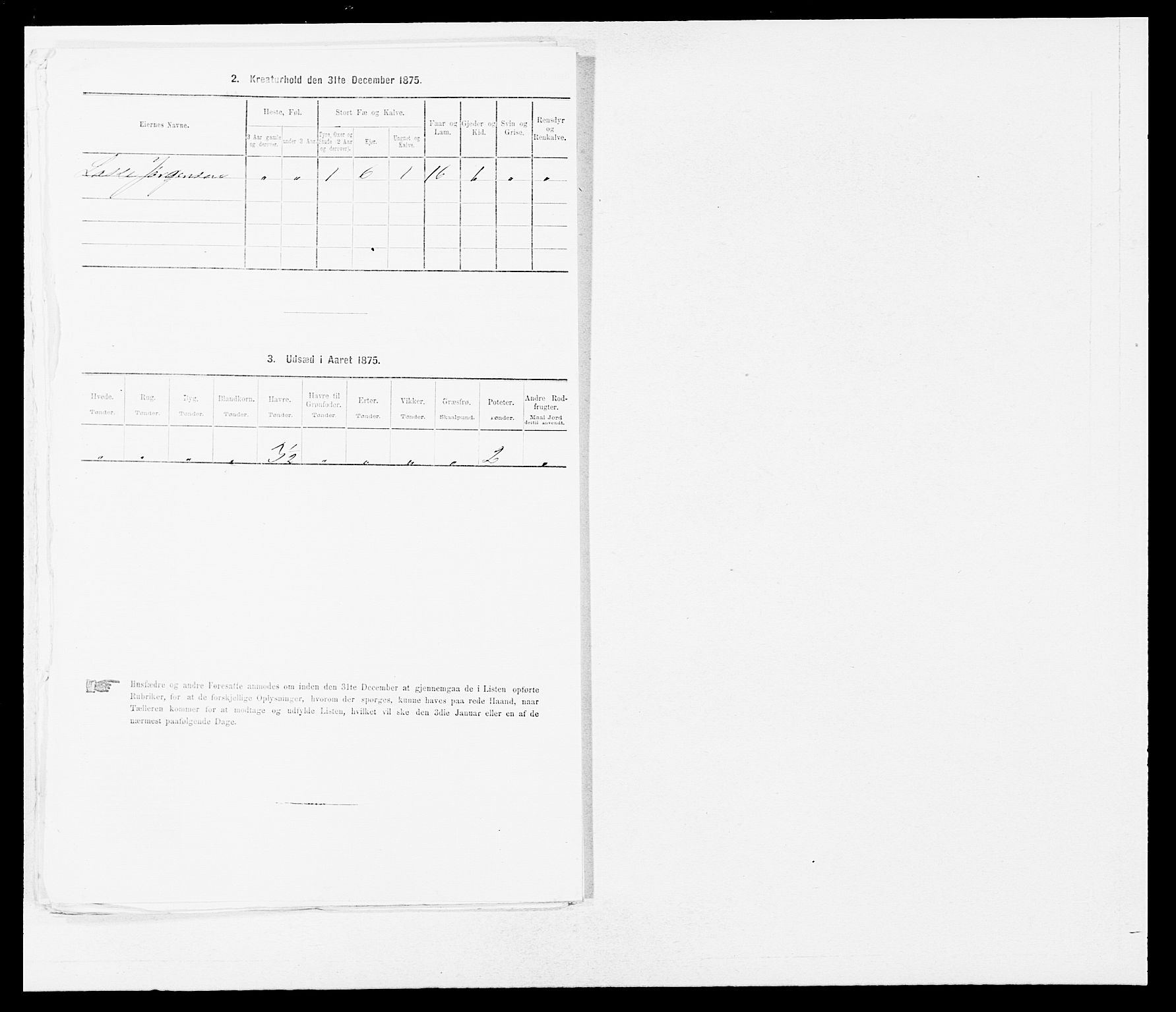 SAB, 1875 census for 1411P Eivindvik, 1875, p. 702