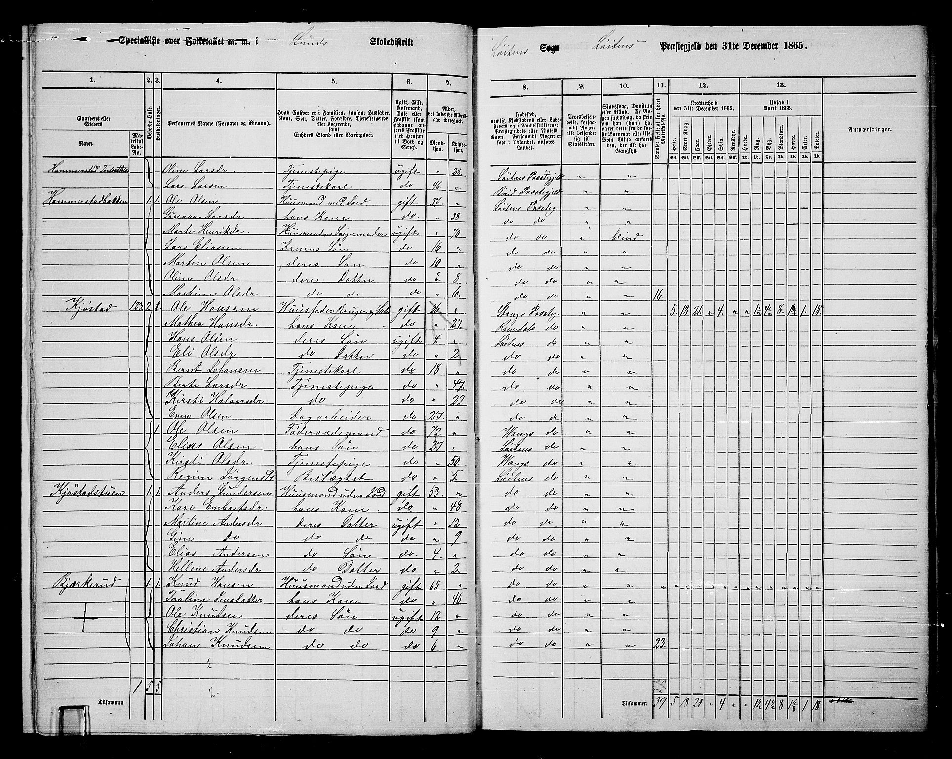 RA, 1865 census for Løten, 1865, p. 15