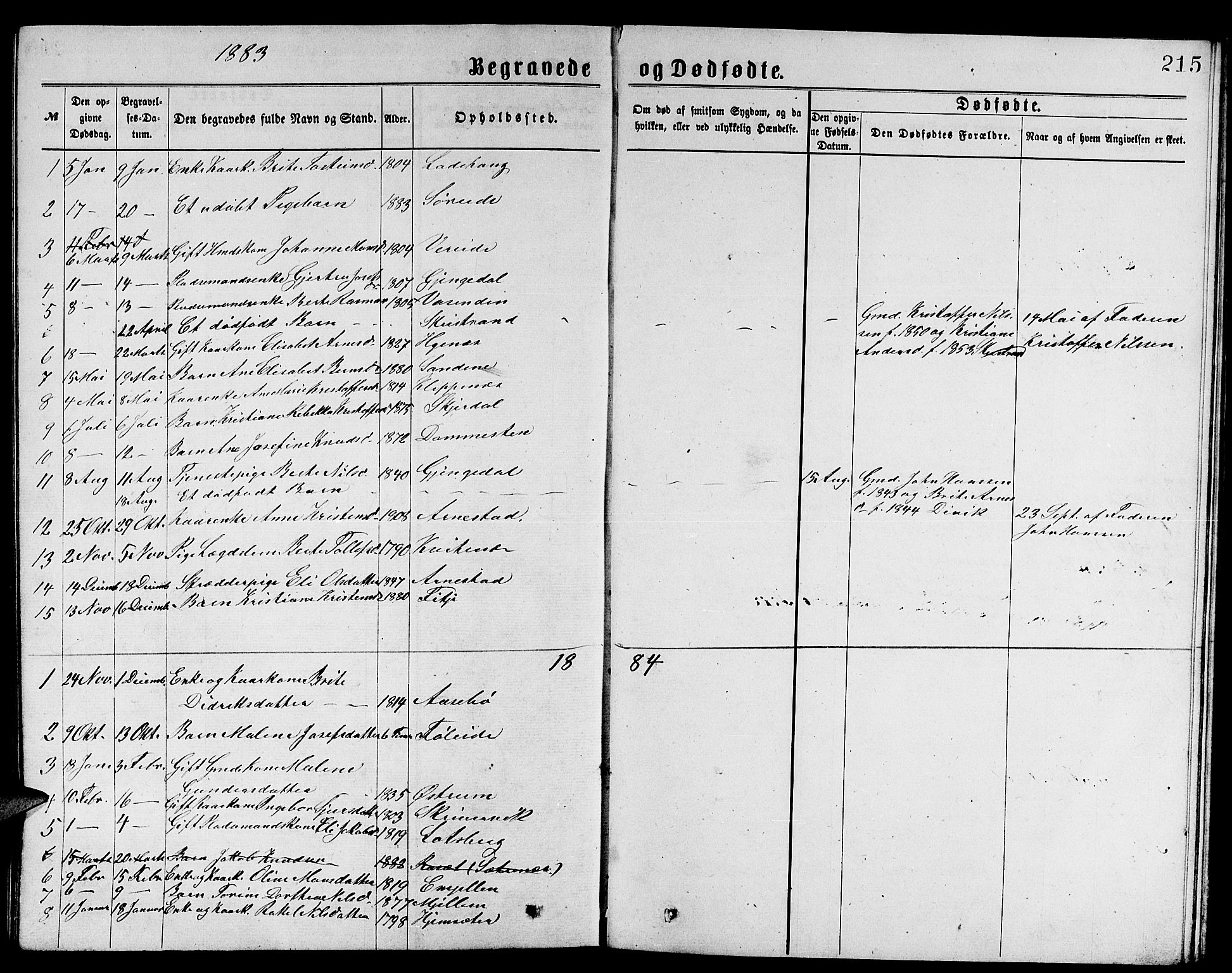 Gloppen sokneprestembete, AV/SAB-A-80101/H/Hab/Habb/L0001: Parish register (copy) no. B 1, 1872-1888, p. 215