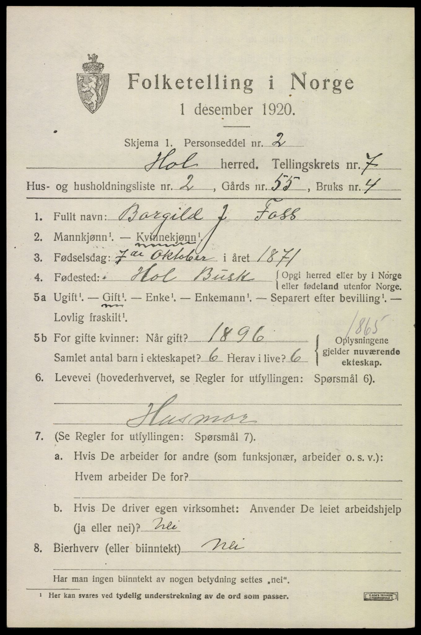 SAKO, 1920 census for Hol (Buskerud), 1920, p. 3515