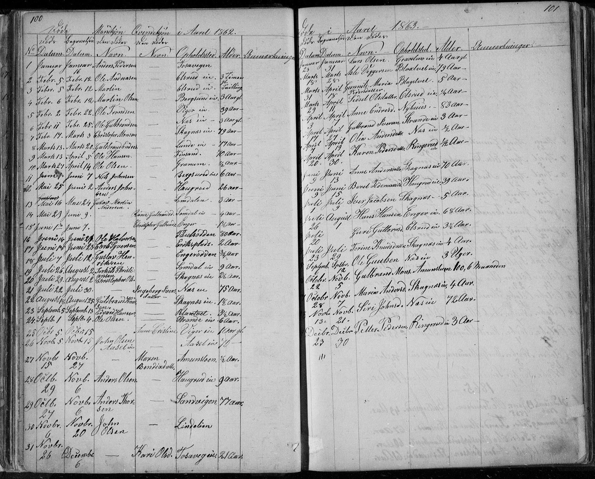Ådal kirkebøker, SAKO/A-248/G/Ga/L0003: Parish register (copy) no. I 3, 1862-1891, p. 100-101