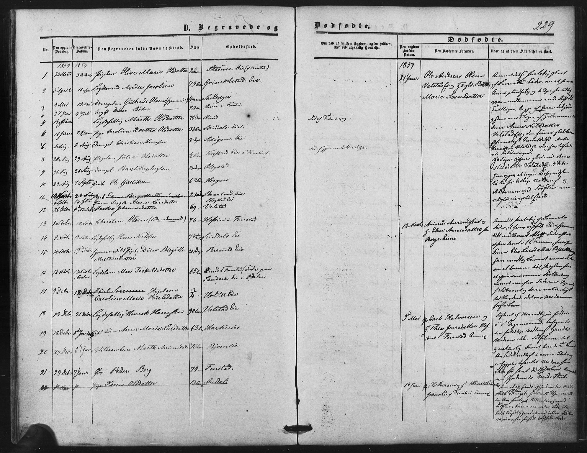 Nes prestekontor Kirkebøker, SAO/A-10410/F/Fb/L0001: Parish register (official) no. II 1, 1859-1882, p. 229