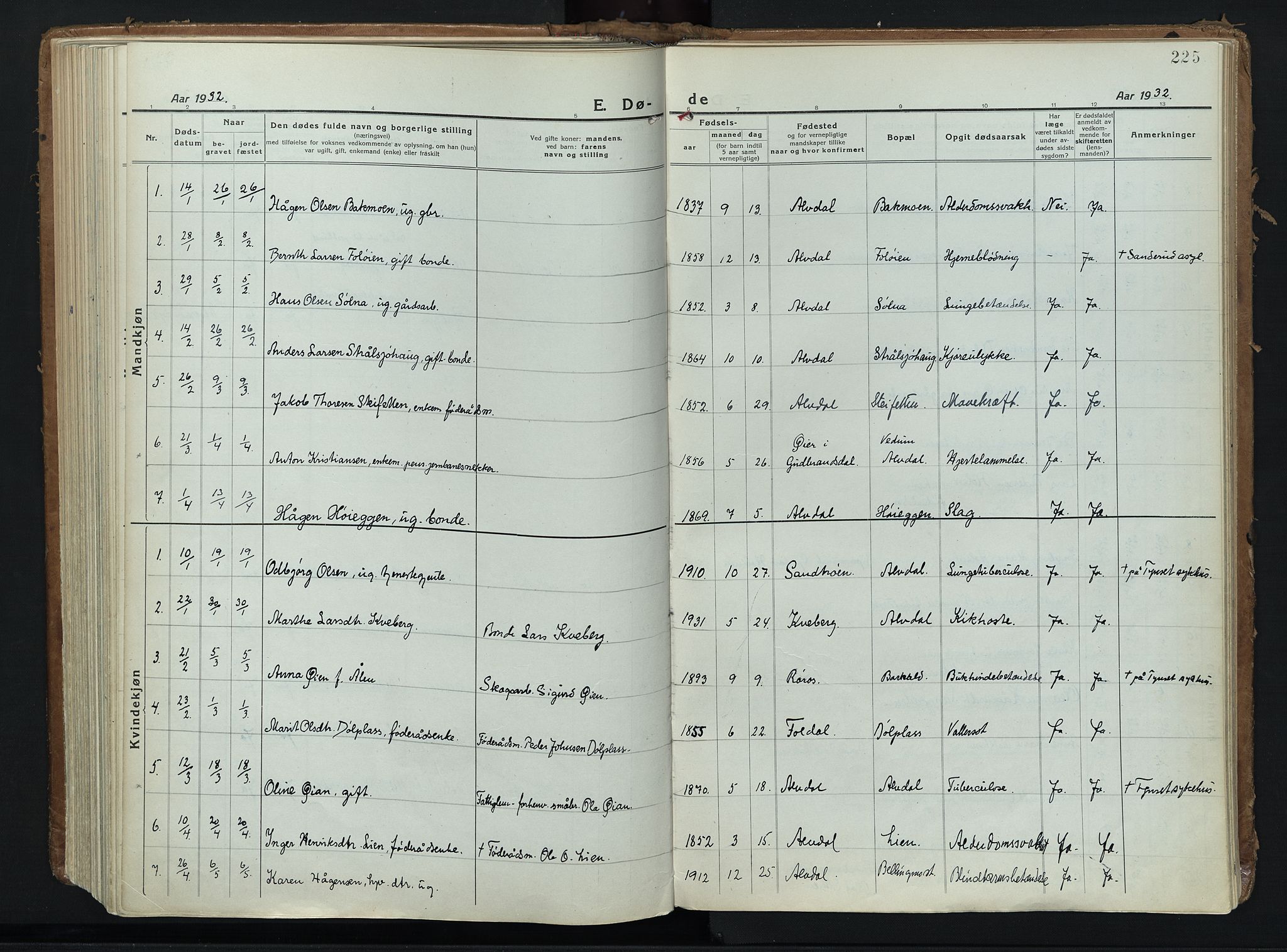 Alvdal prestekontor, SAH/PREST-060/H/Ha/Haa/L0006: Parish register (official) no. 6, 1920-1937, p. 225