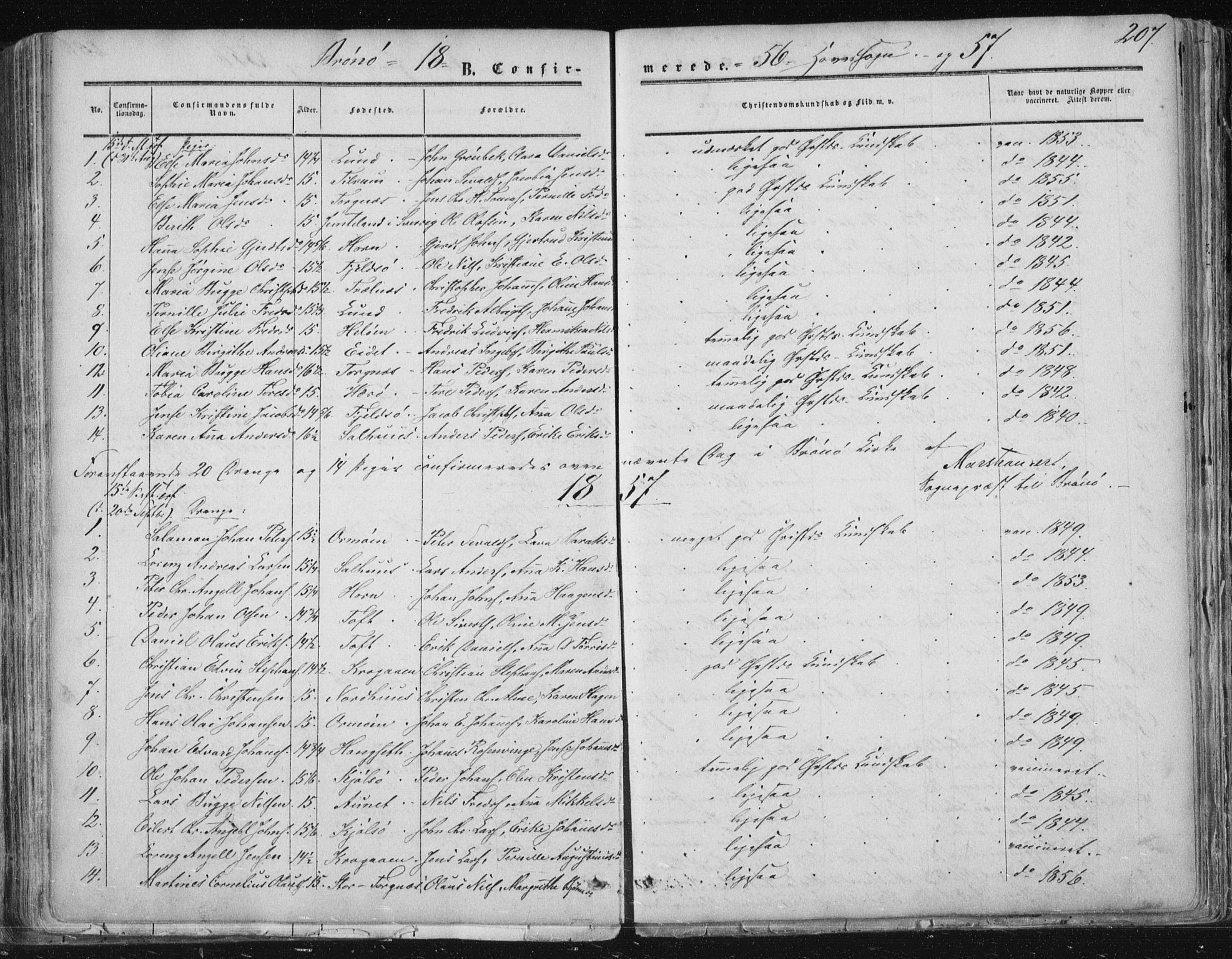 Ministerialprotokoller, klokkerbøker og fødselsregistre - Nordland, AV/SAT-A-1459/813/L0198: Parish register (official) no. 813A08, 1834-1874, p. 207