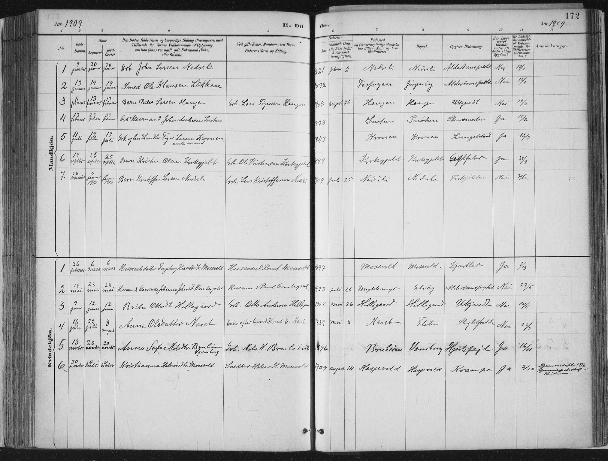 Jostedal sokneprestembete, SAB/A-80601/H/Haa/Haab/L0001: Parish register (official) no. B 1, 1887-1914, p. 172