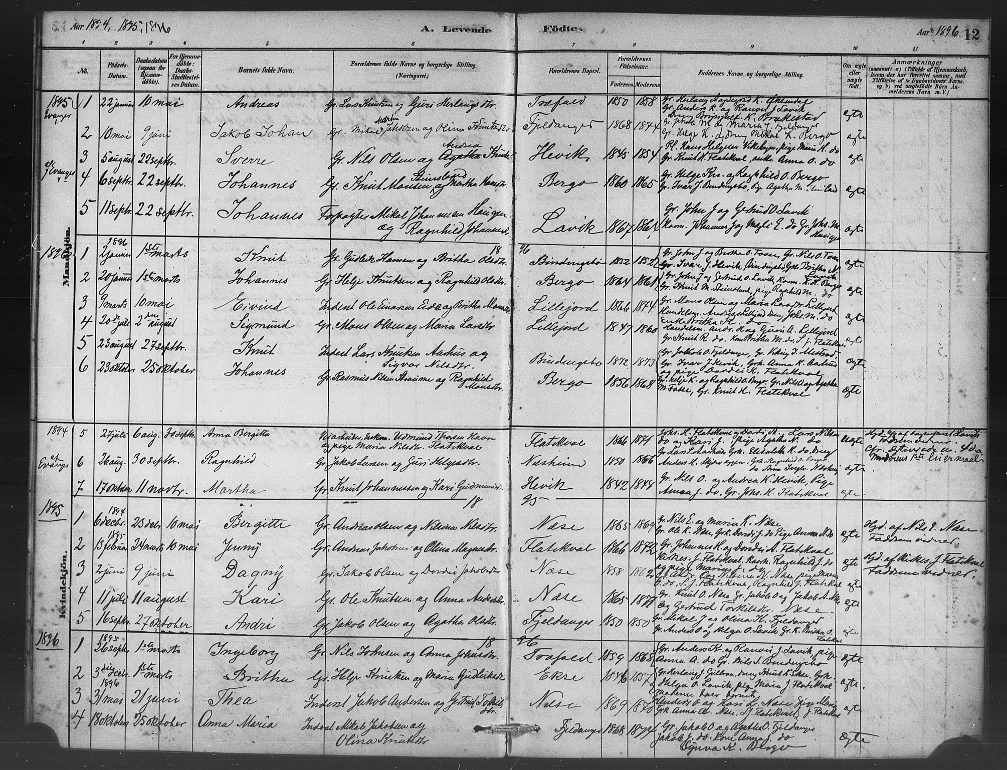 Vaksdal Sokneprestembete, AV/SAB-A-78901/H/Haa: Parish register (official) no. C 1, 1881-1900, p. 12