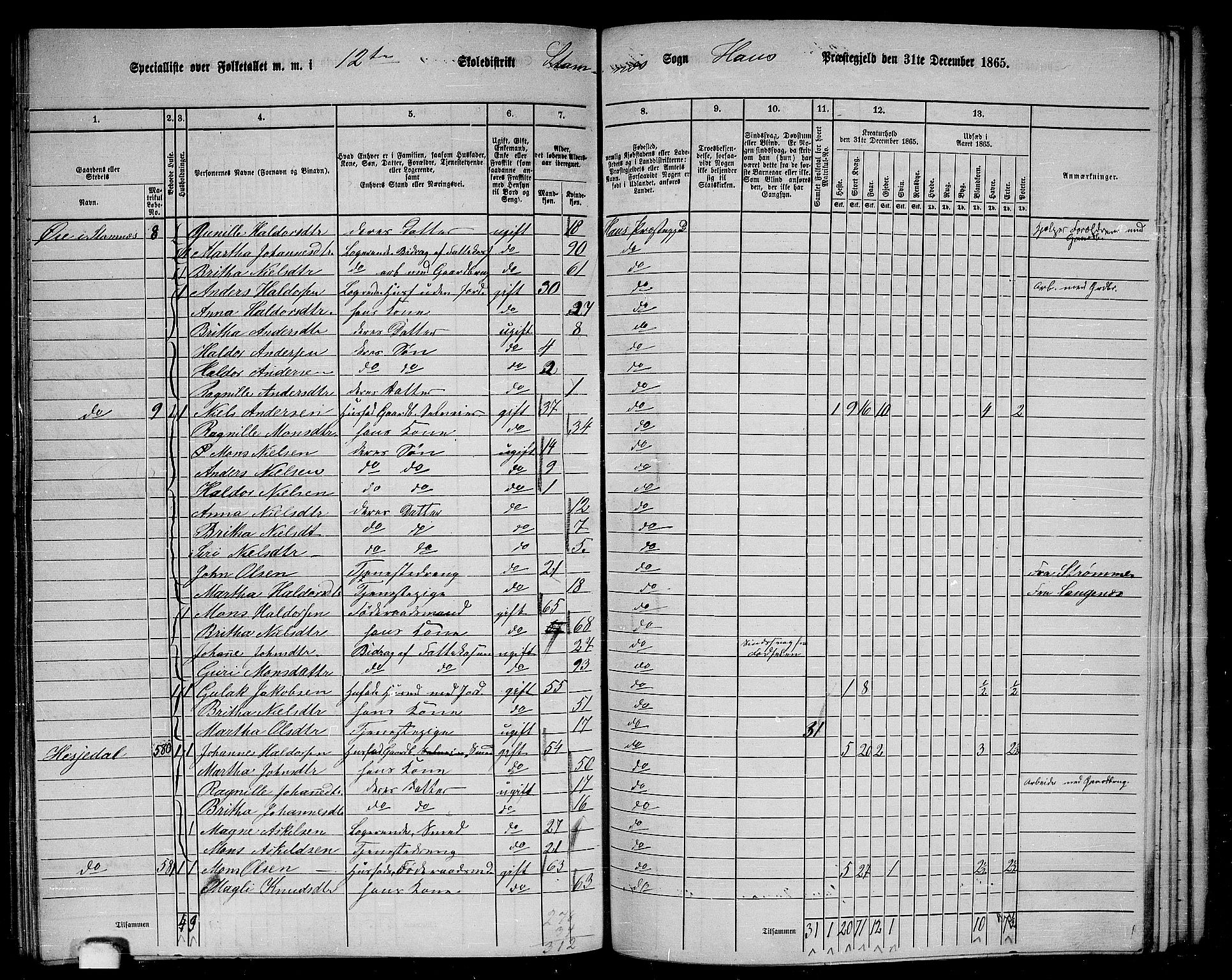 RA, 1865 census for Haus, 1865, p. 242