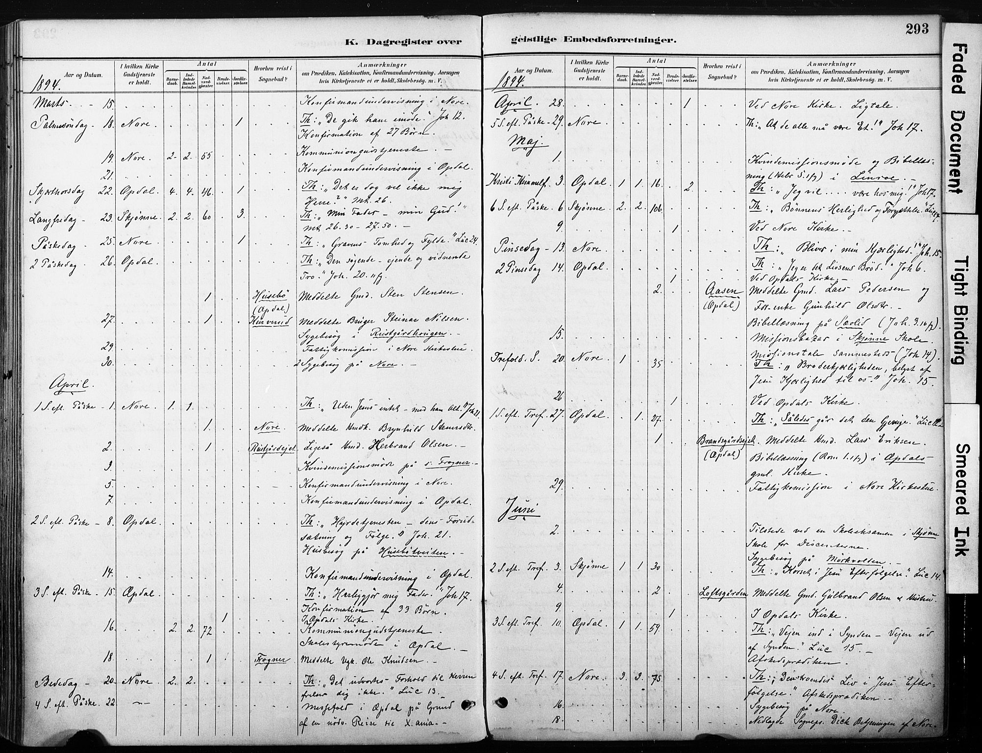 Nore kirkebøker, SAKO/A-238/F/Fb/L0002: Parish register (official) no. II 2, 1886-1906, p. 293