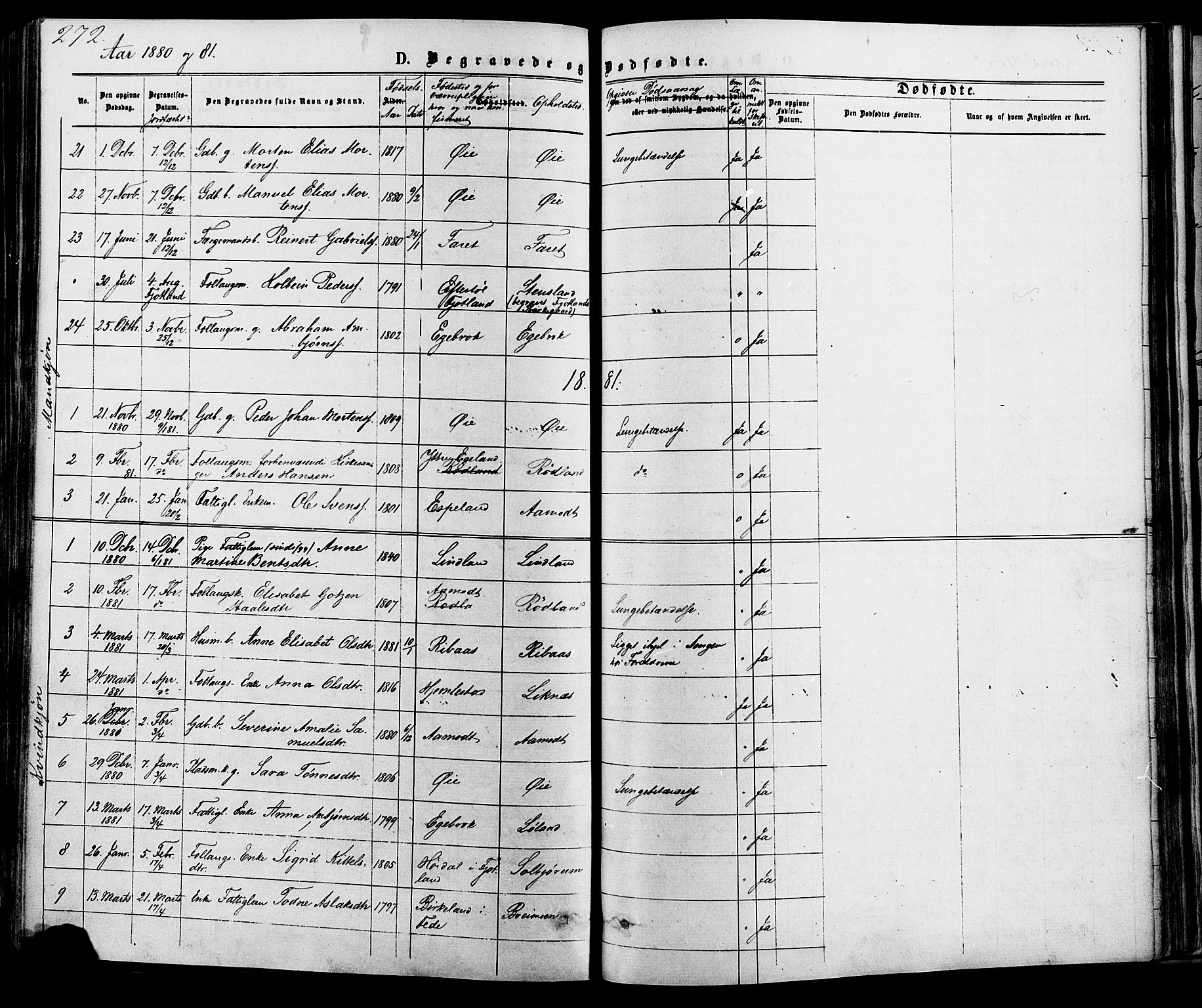 Kvinesdal sokneprestkontor, SAK/1111-0026/F/Fa/Fab/L0007: Parish register (official) no. A 7, 1870-1885, p. 272