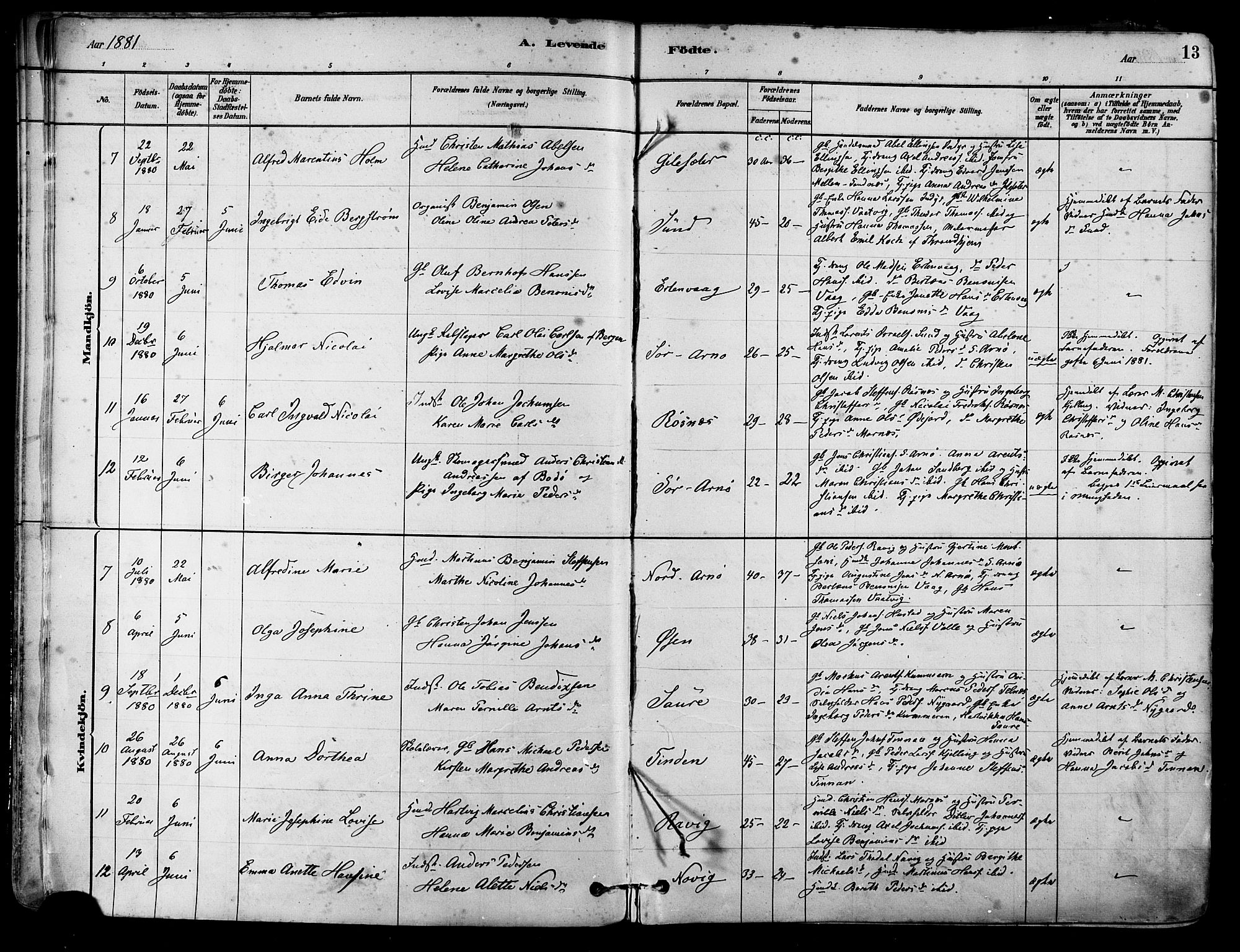 Ministerialprotokoller, klokkerbøker og fødselsregistre - Nordland, SAT/A-1459/805/L0099: Parish register (official) no. 805A06, 1880-1891, p. 13