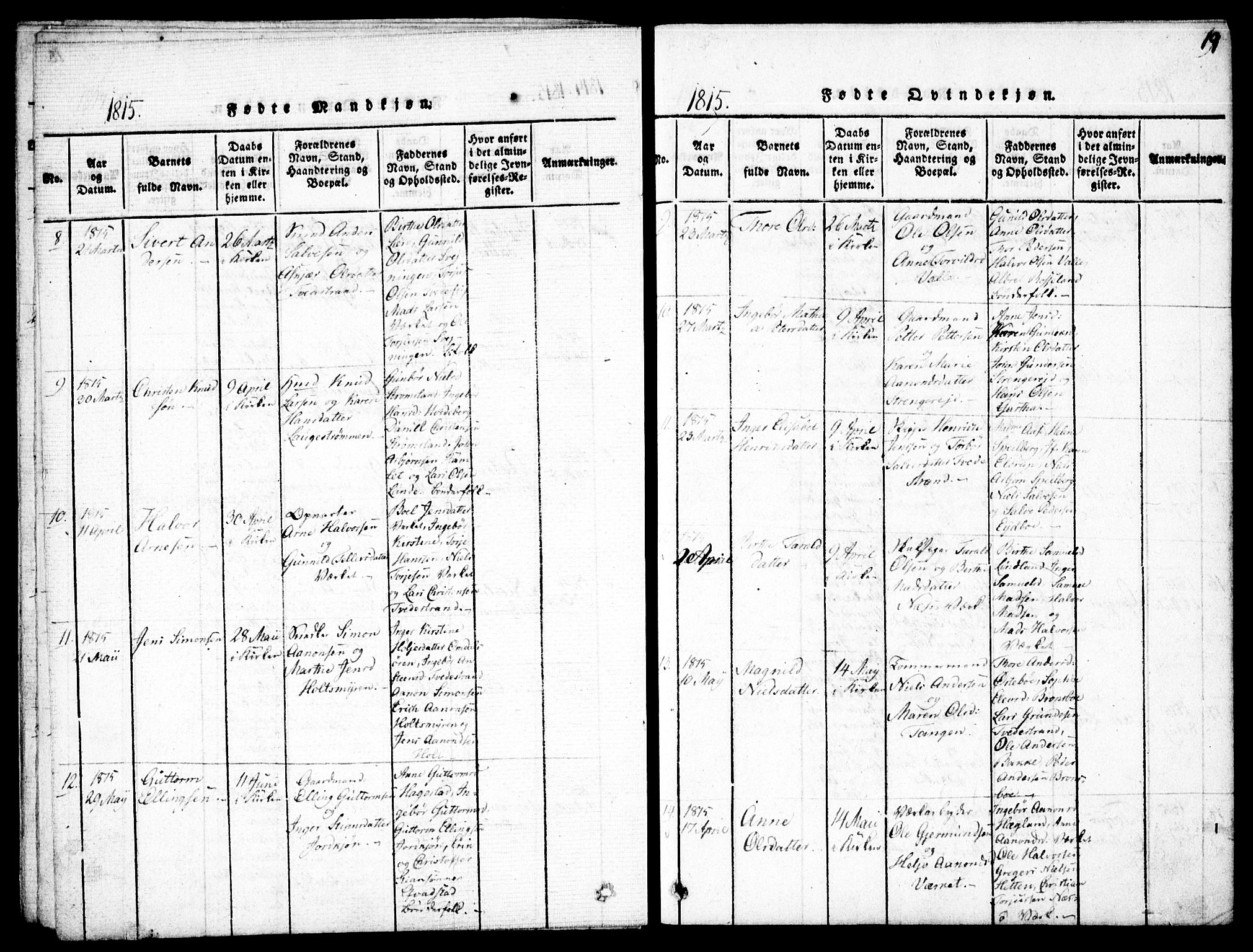 Holt sokneprestkontor, AV/SAK-1111-0021/F/Fa/L0005: Parish register (official) no. A 5, 1813-1821, p. 19