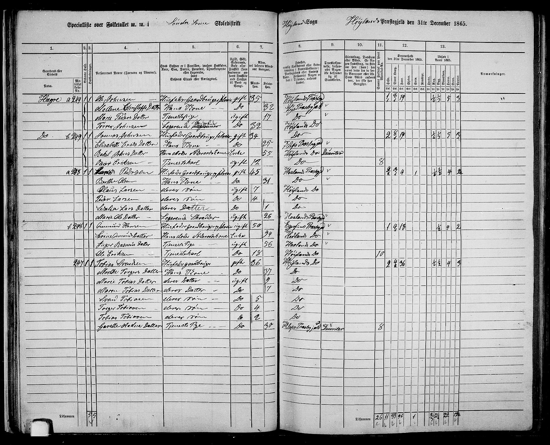 RA, 1865 census for Høyland, 1865, p. 36