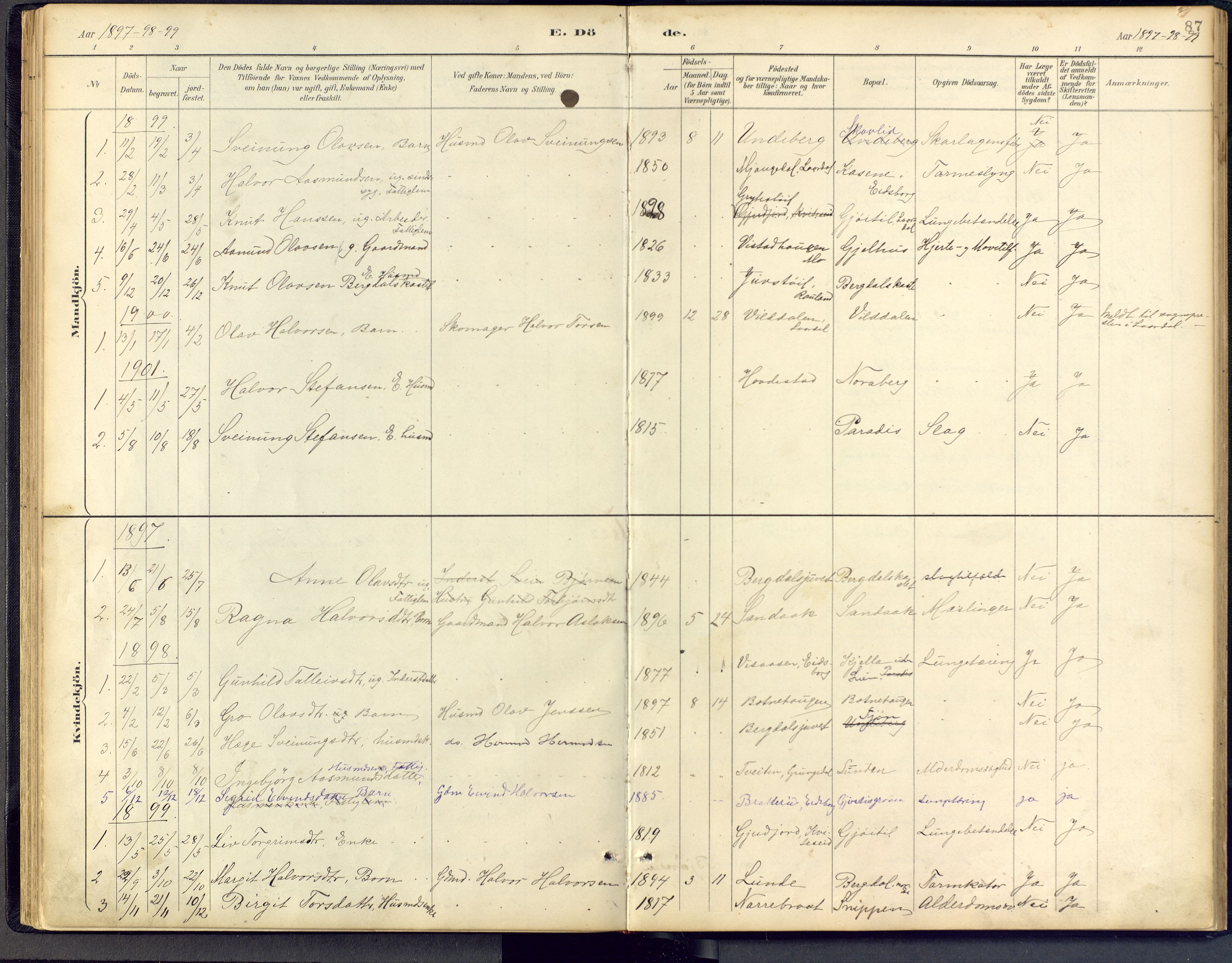 Vinje kirkebøker, SAKO/A-312/F/Fb/L0002: Parish register (official) no. II 2, 1887-1925, p. 87
