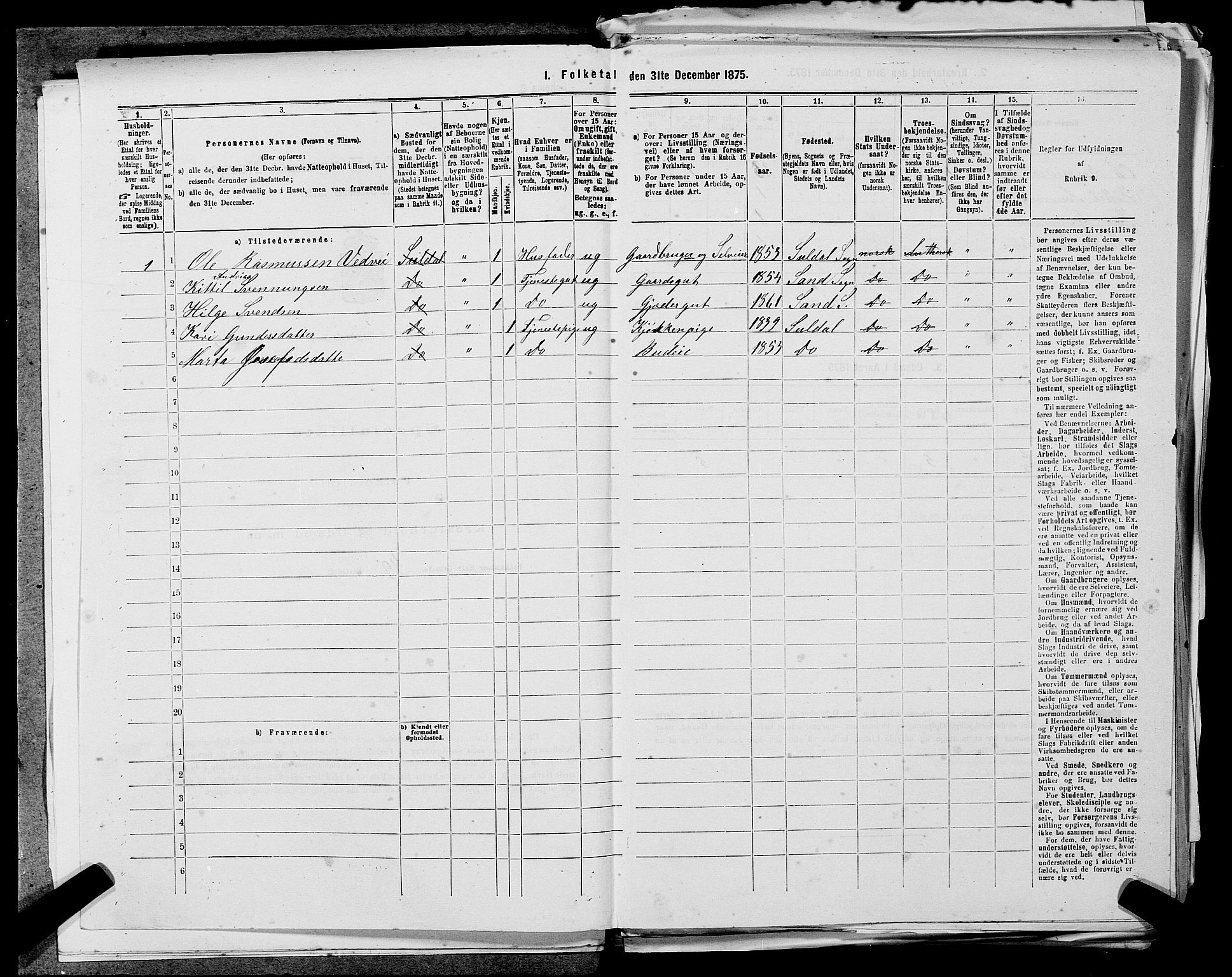 SAST, 1875 census for 1134P Suldal, 1875, p. 382