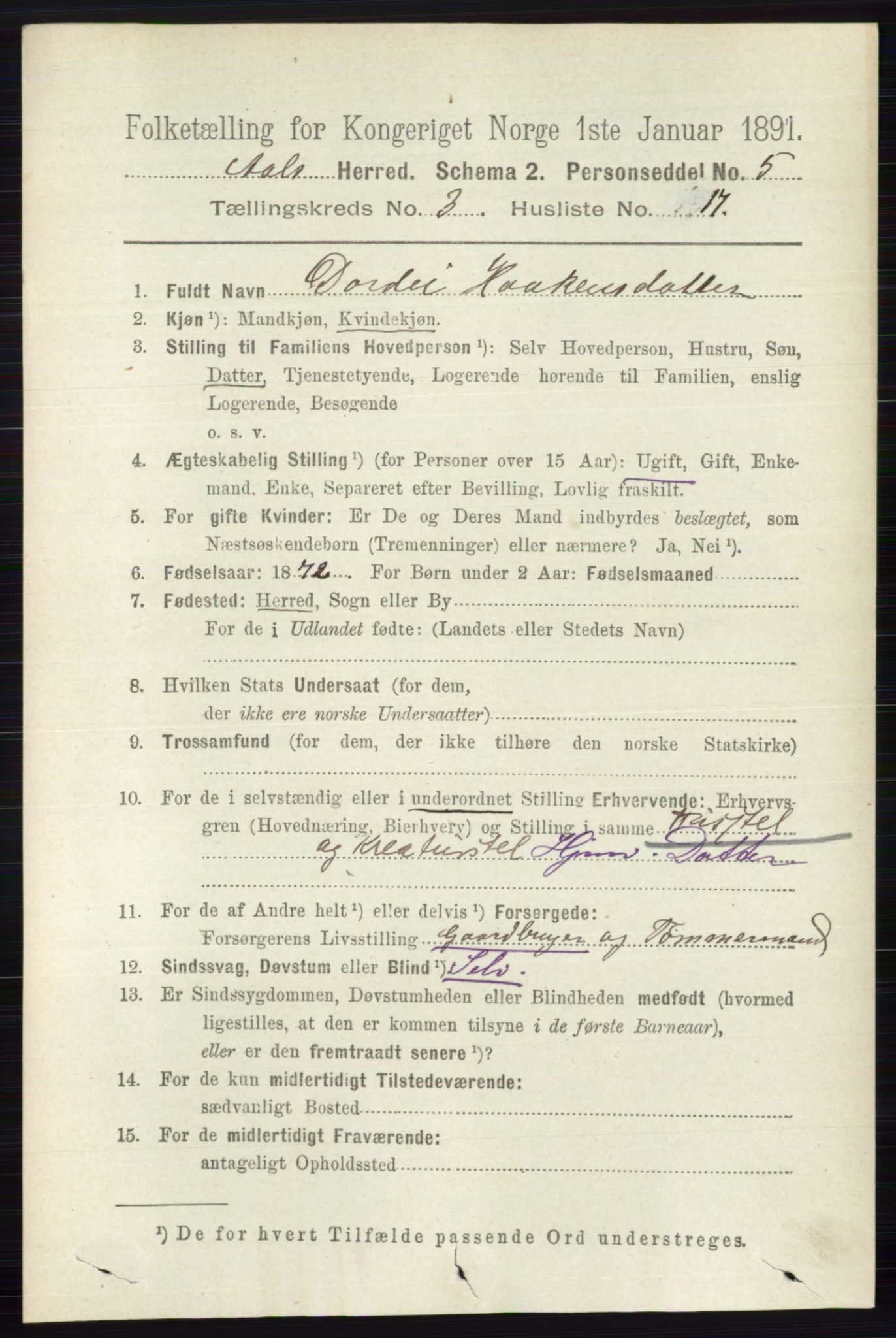 RA, 1891 census for 0619 Ål, 1891, p. 757