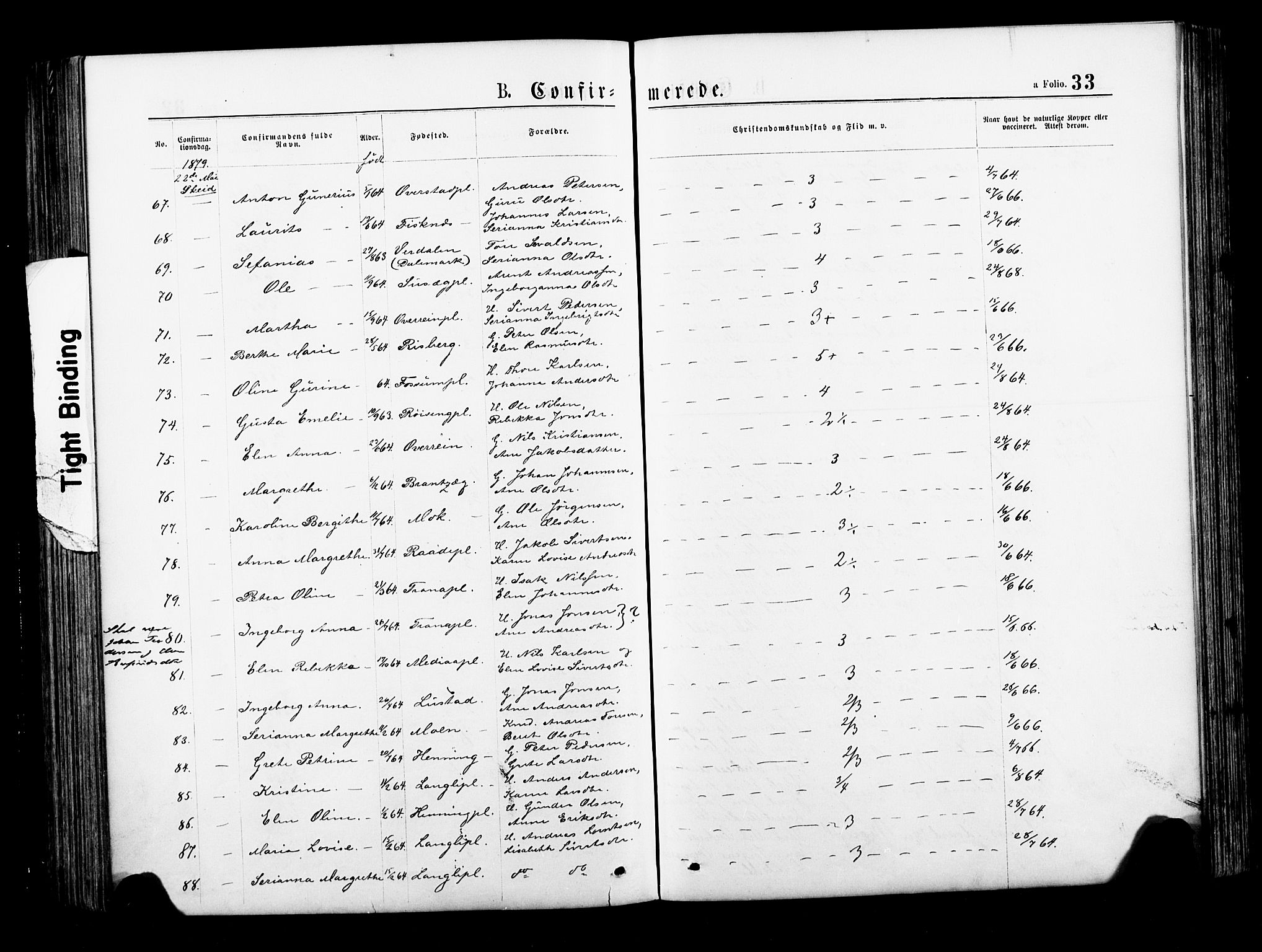 Ministerialprotokoller, klokkerbøker og fødselsregistre - Nord-Trøndelag, SAT/A-1458/735/L0348: Parish register (official) no. 735A09 /1, 1873-1883, p. 33