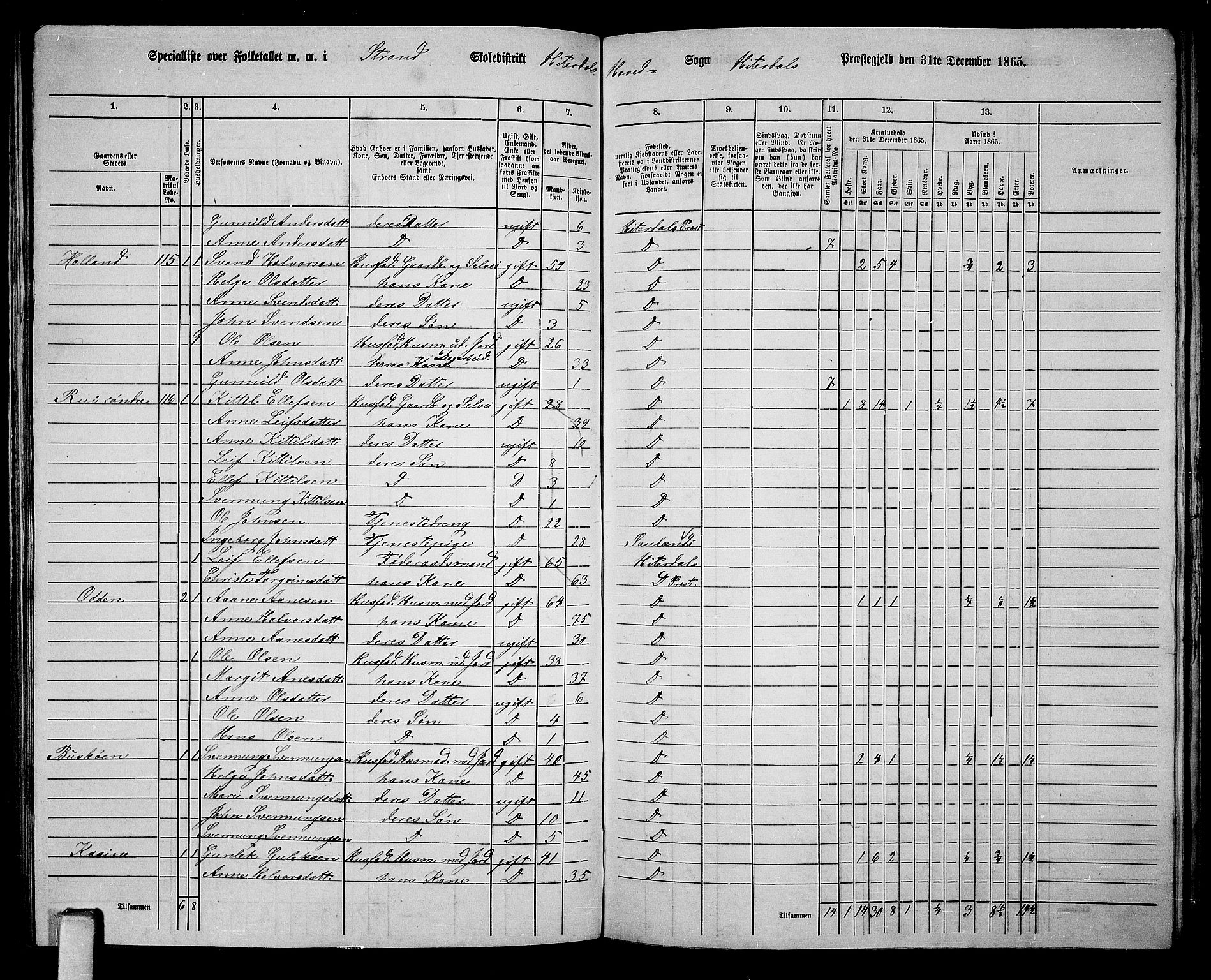 RA, 1865 census for Heddal, 1865, p. 102