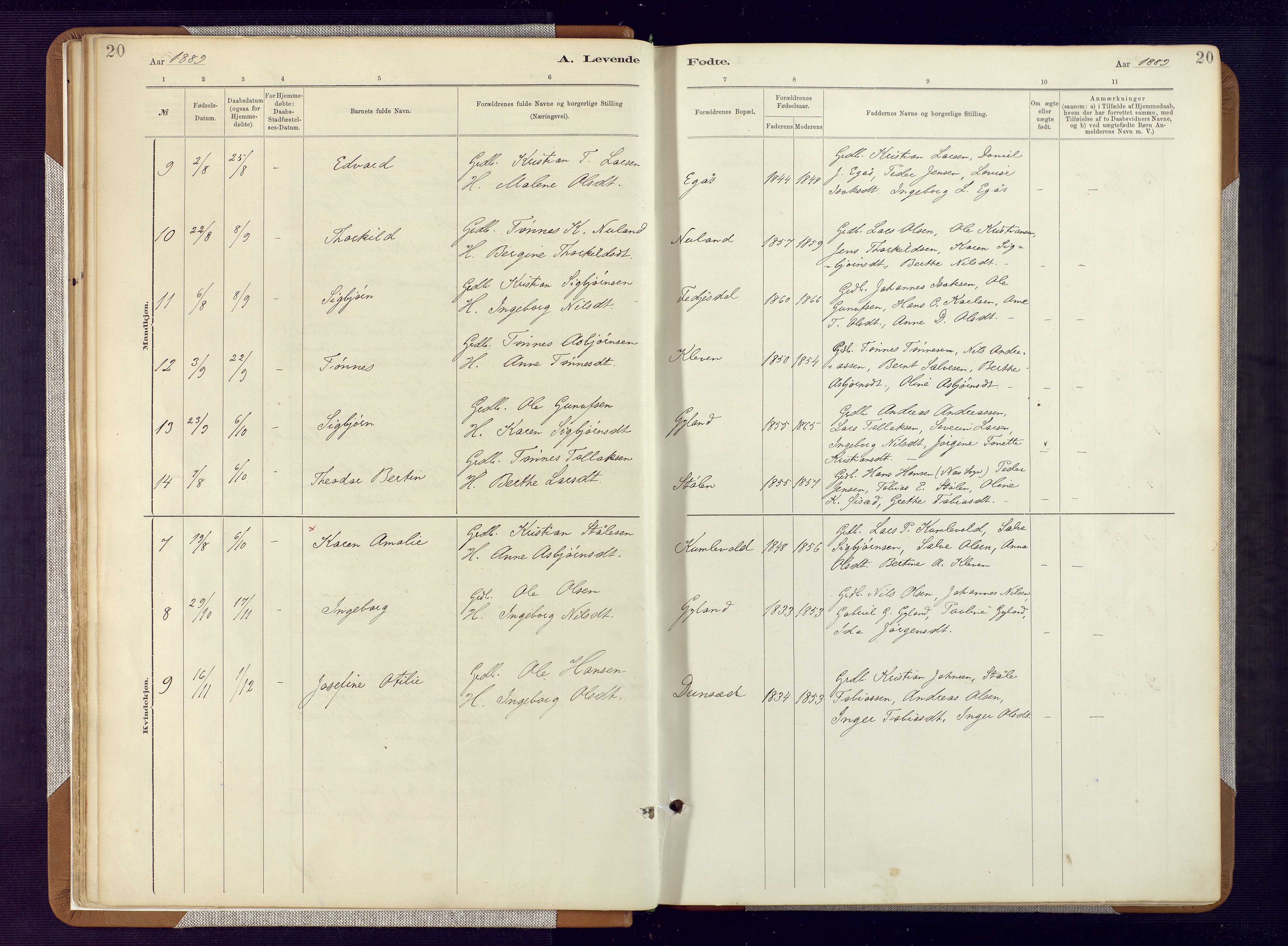 Bakke sokneprestkontor, AV/SAK-1111-0002/F/Fa/Fab/L0003: Parish register (official) no. A 3, 1884-1921, p. 20