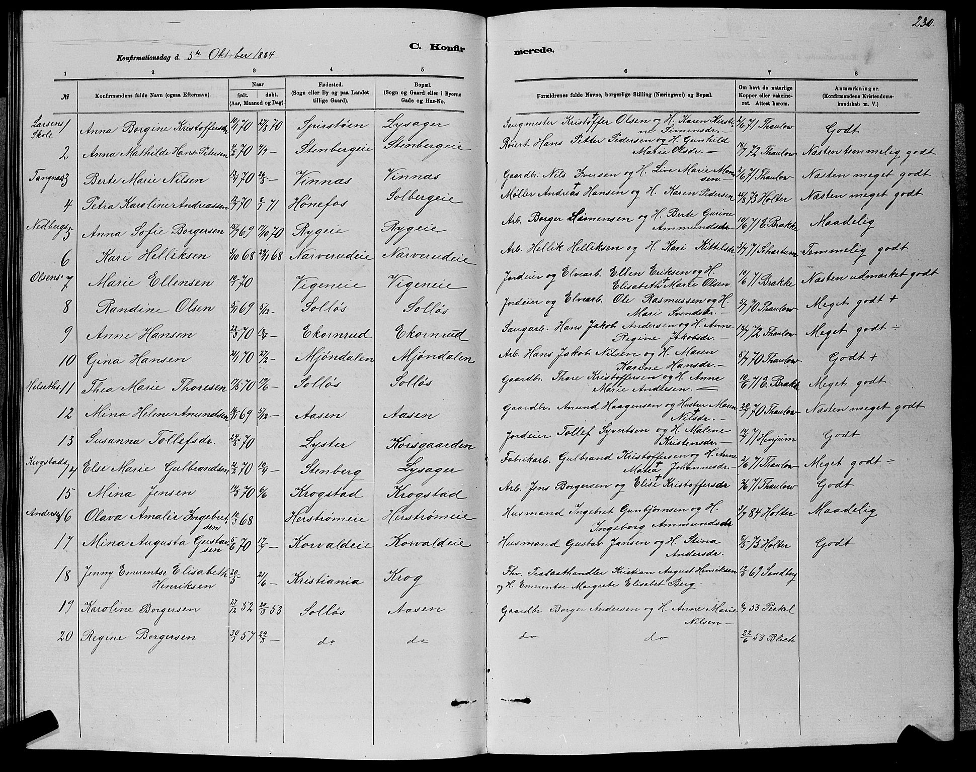 Nedre Eiker kirkebøker, AV/SAKO-A-612/G/Ga/L0002: Parish register (copy) no. 2, 1880-1896, p. 230