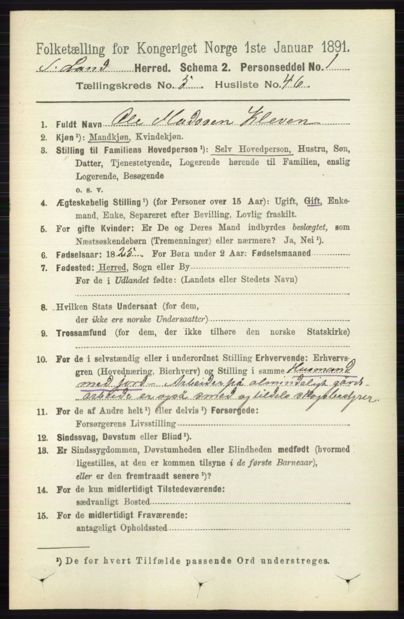 RA, 1891 census for 0536 Søndre Land, 1891, p. 5091