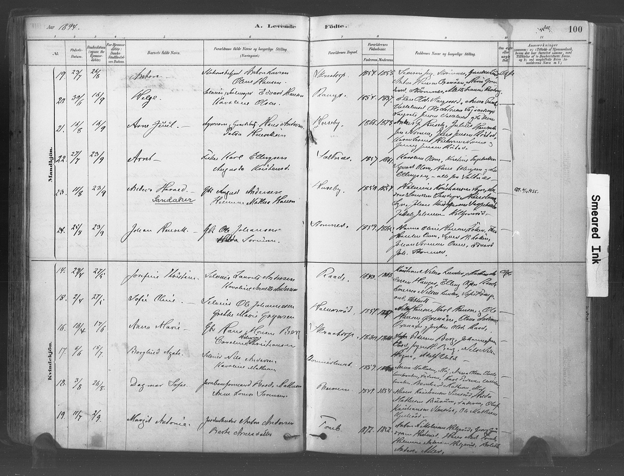 Råde prestekontor kirkebøker, AV/SAO-A-2009/F/Fa/L0007: Parish register (official) no. 7, 1878-1902, p. 100