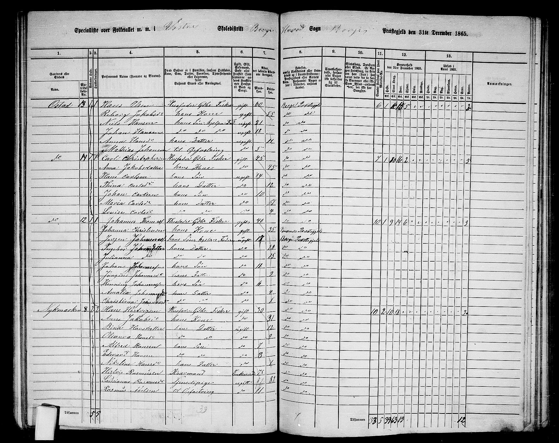 RA, 1865 census for Borge, 1865, p. 15