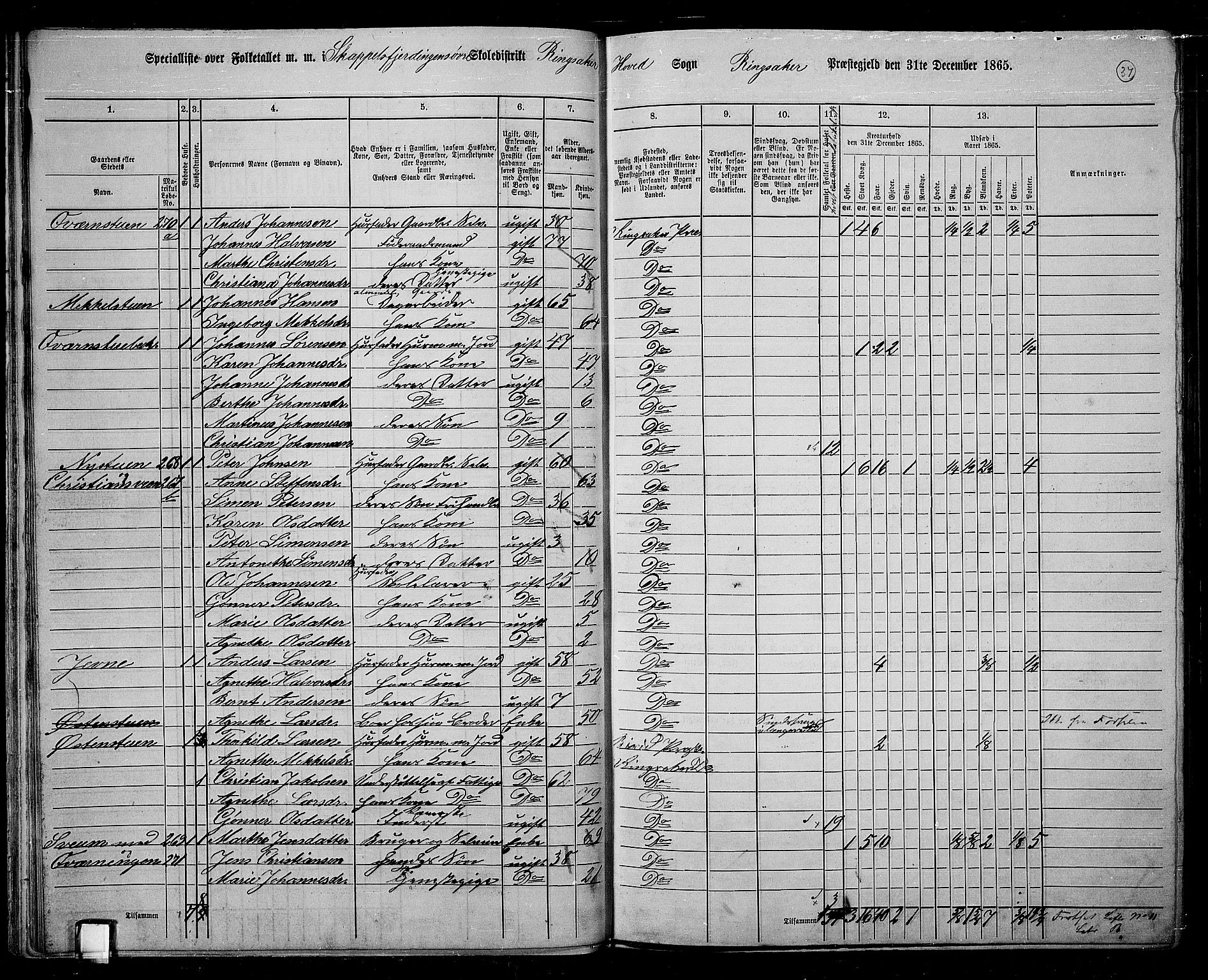 RA, 1865 census for Ringsaker, 1865, p. 294