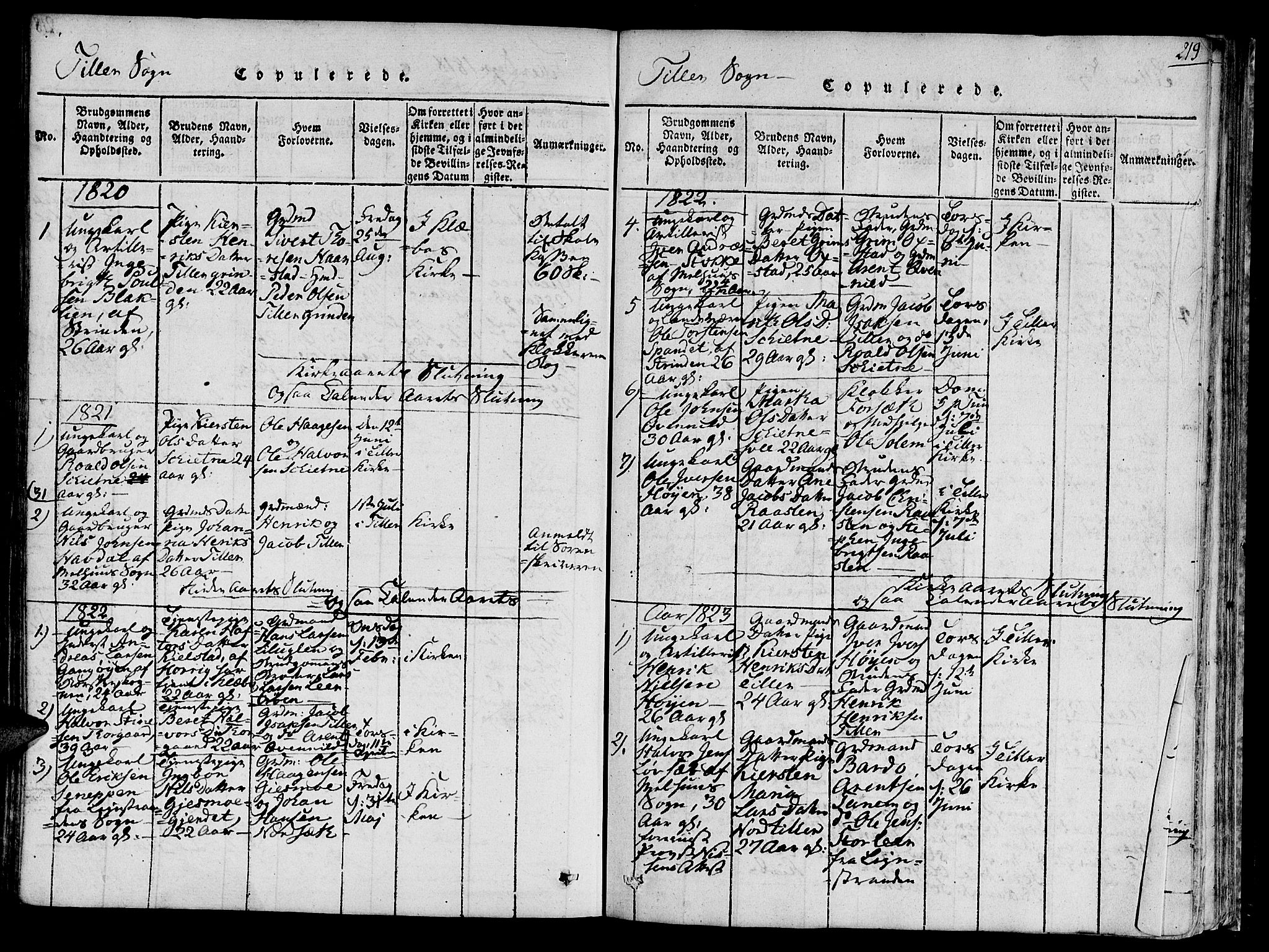 Ministerialprotokoller, klokkerbøker og fødselsregistre - Sør-Trøndelag, SAT/A-1456/618/L0440: Parish register (official) no. 618A04 /2, 1816-1843, p. 219