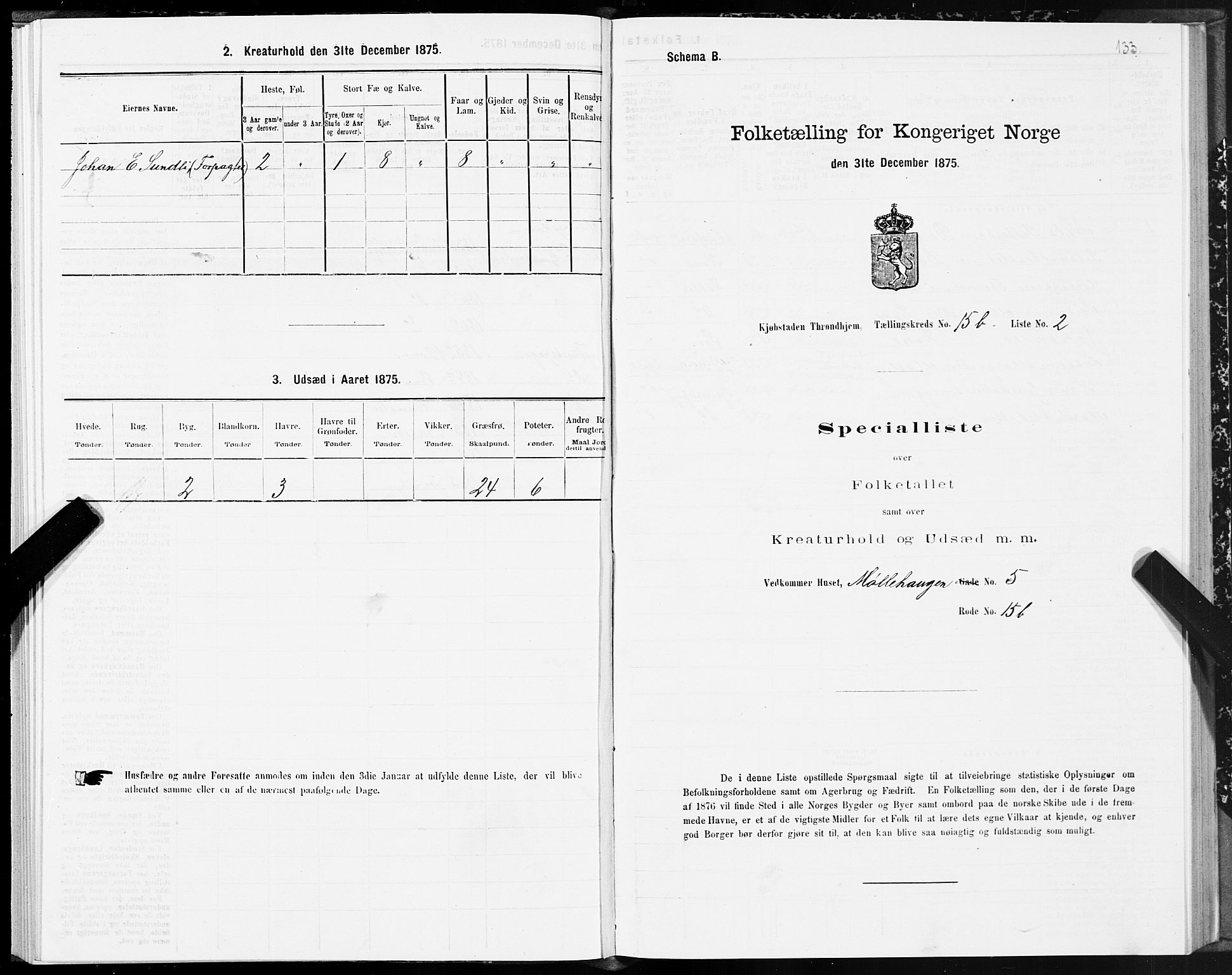 SAT, 1875 census for 1601 Trondheim, 1875, p. 8133