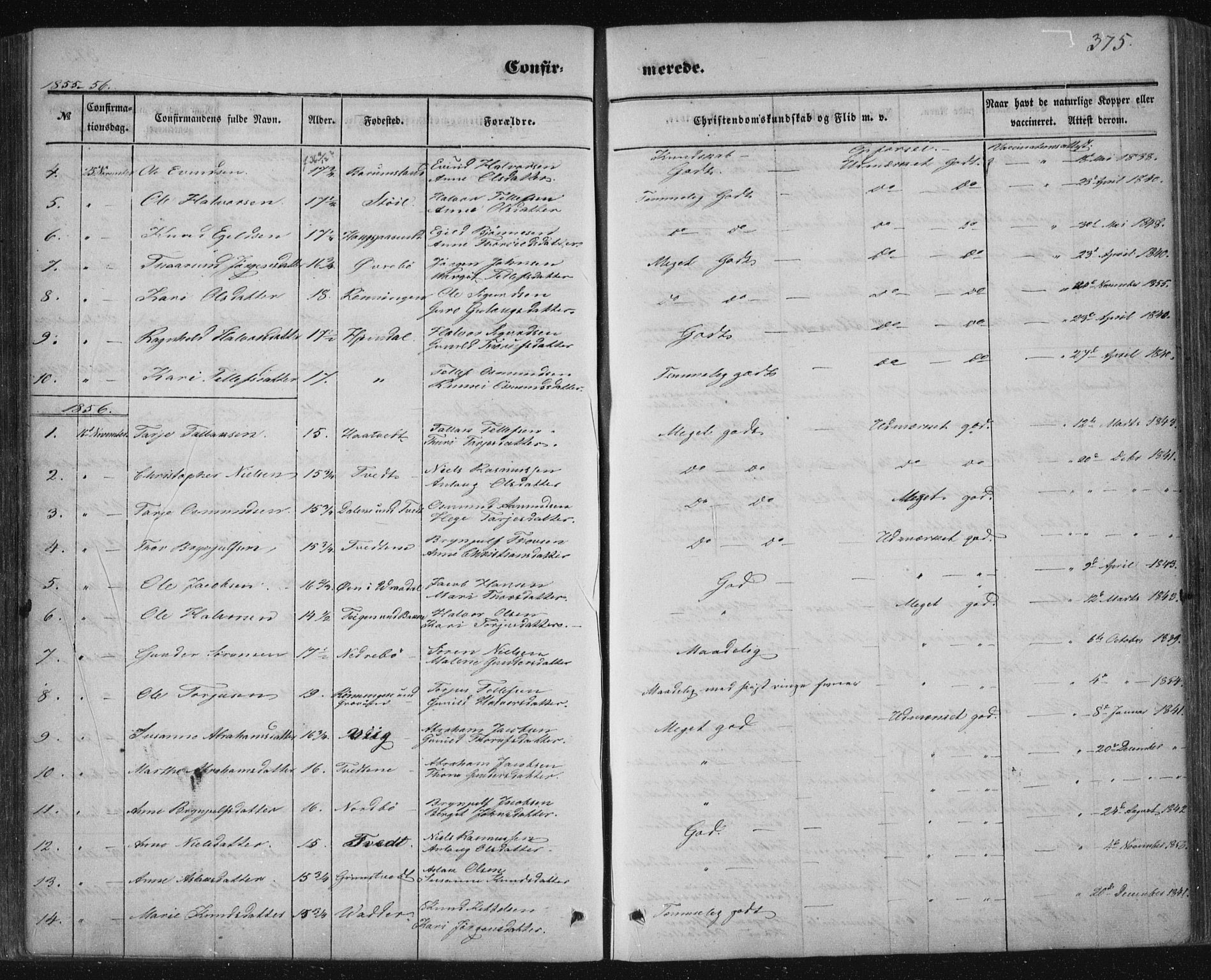 Nissedal kirkebøker, SAKO/A-288/F/Fa/L0003: Parish register (official) no. I 3, 1846-1870, p. 374-375