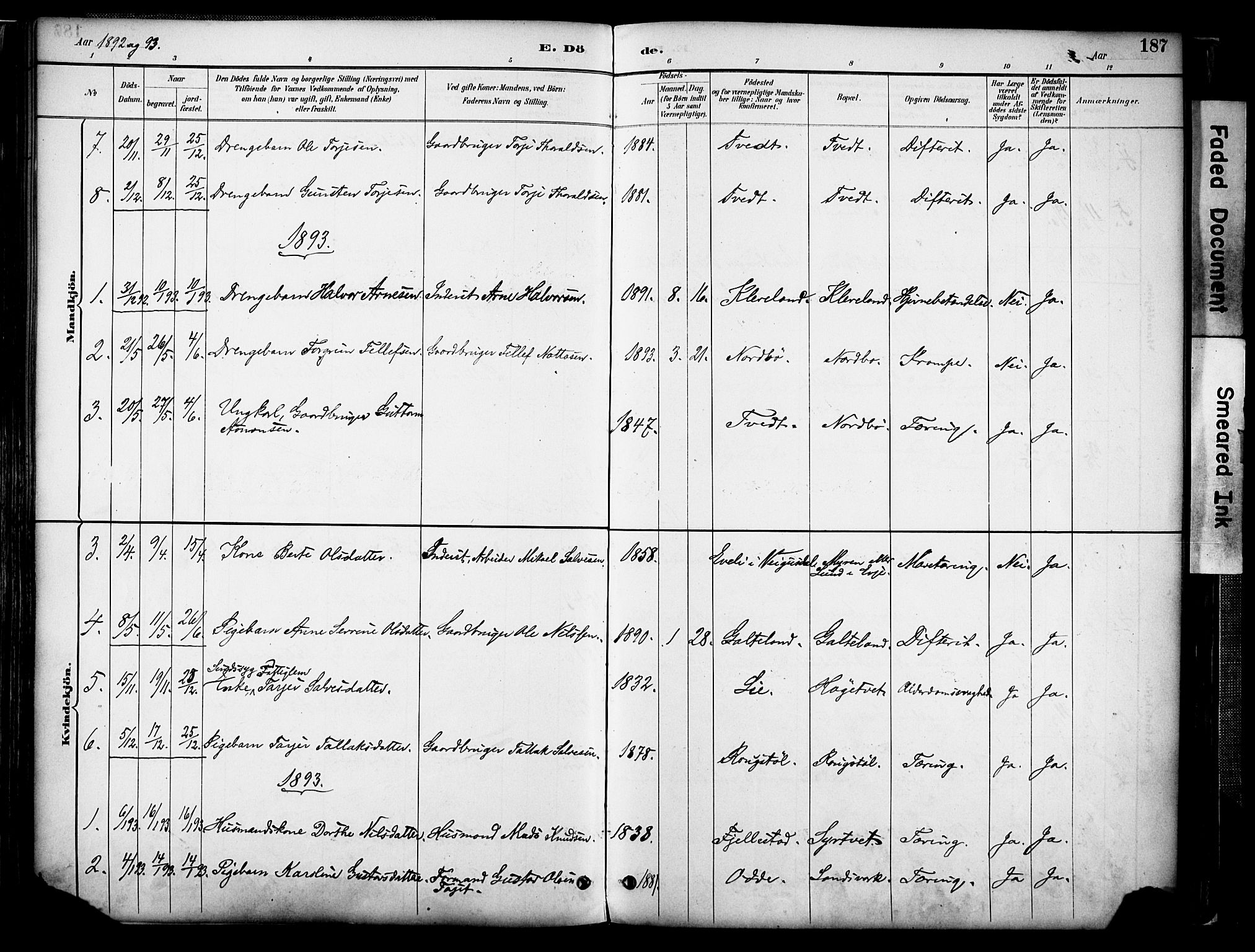 Evje sokneprestkontor, AV/SAK-1111-0008/F/Fa/Faa/L0007: Parish register (official) no. A 7, 1884-1909, p. 187