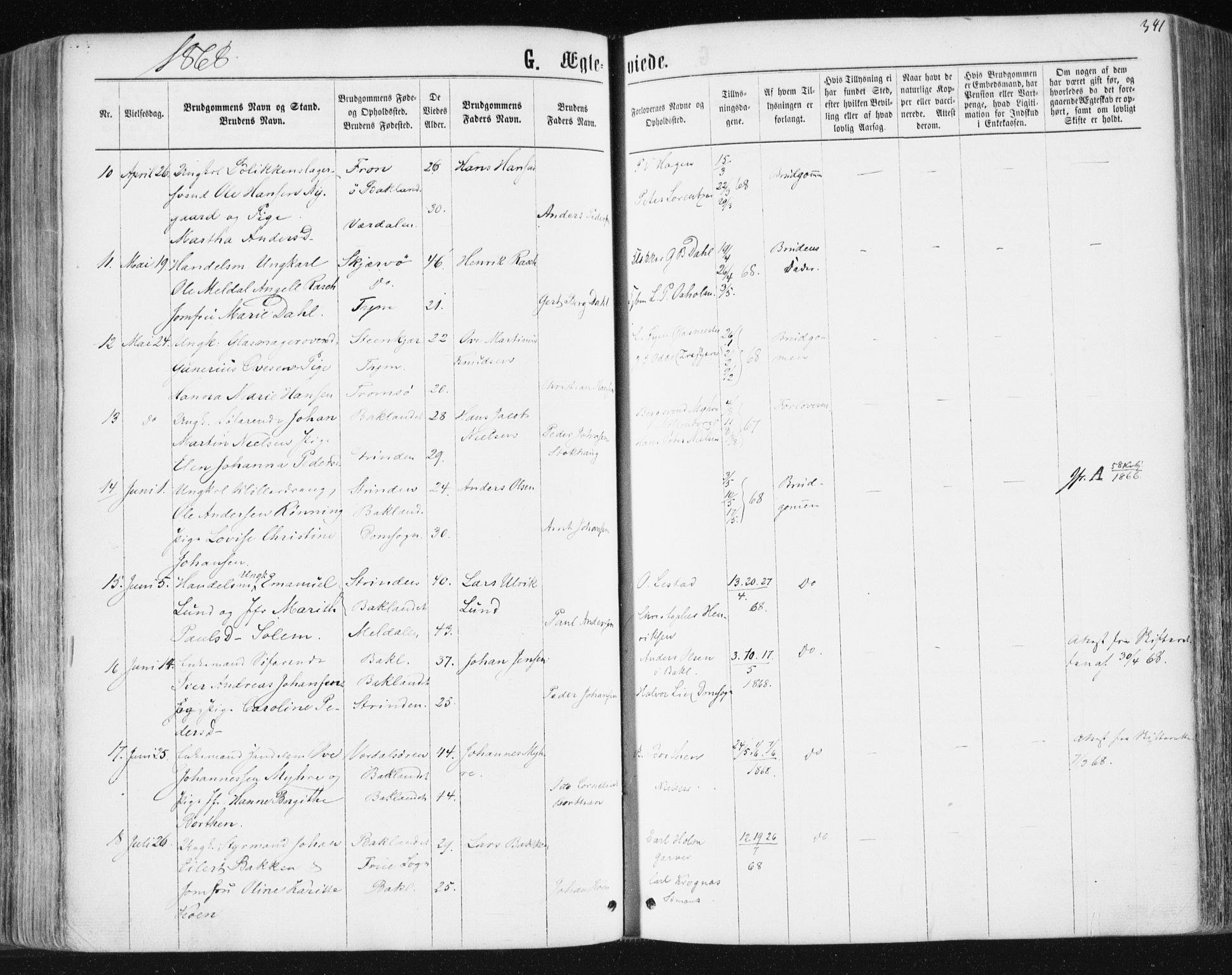 Ministerialprotokoller, klokkerbøker og fødselsregistre - Sør-Trøndelag, AV/SAT-A-1456/604/L0186: Parish register (official) no. 604A07, 1866-1877, p. 341