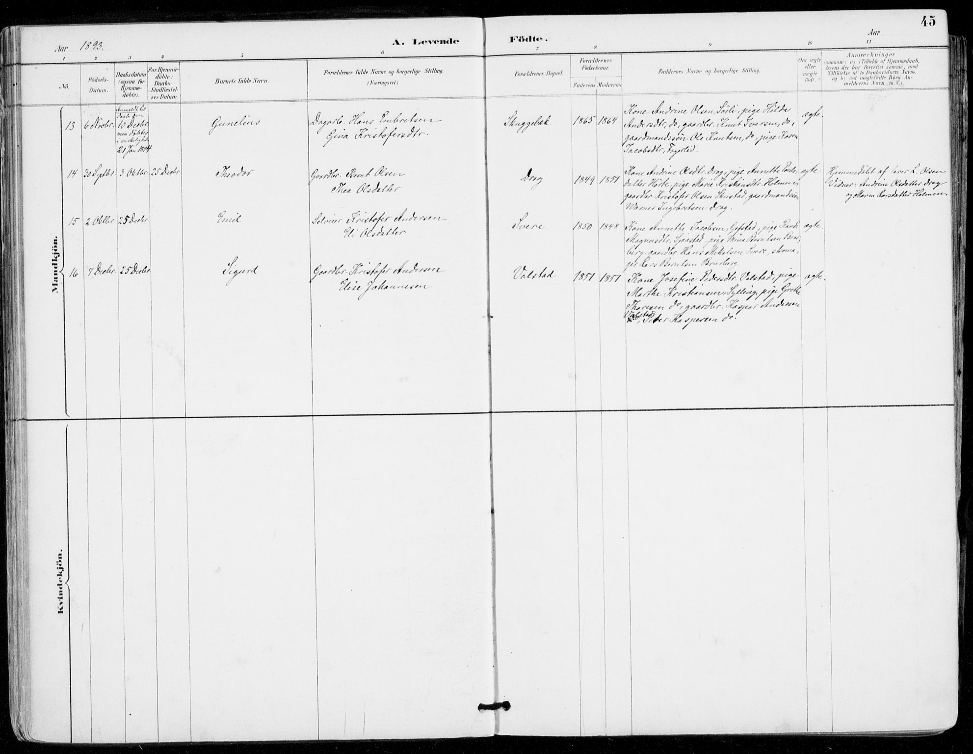 Sylling kirkebøker, SAKO/A-247/F/Fa/L0001: Parish register (official) no. 1, 1883-1910, p. 45