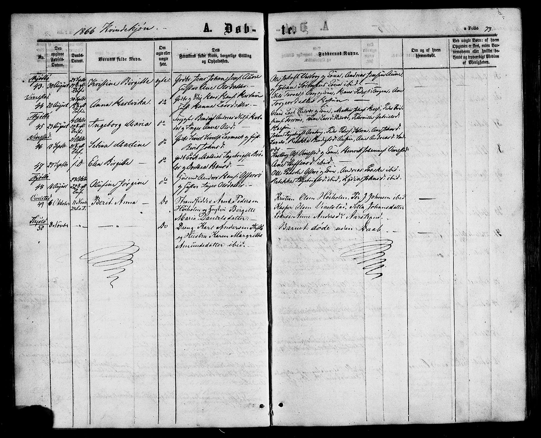 Ministerialprotokoller, klokkerbøker og fødselsregistre - Nordland, AV/SAT-A-1459/817/L0262: Parish register (official) no. 817A03/ 1, 1862-1877, p. 73