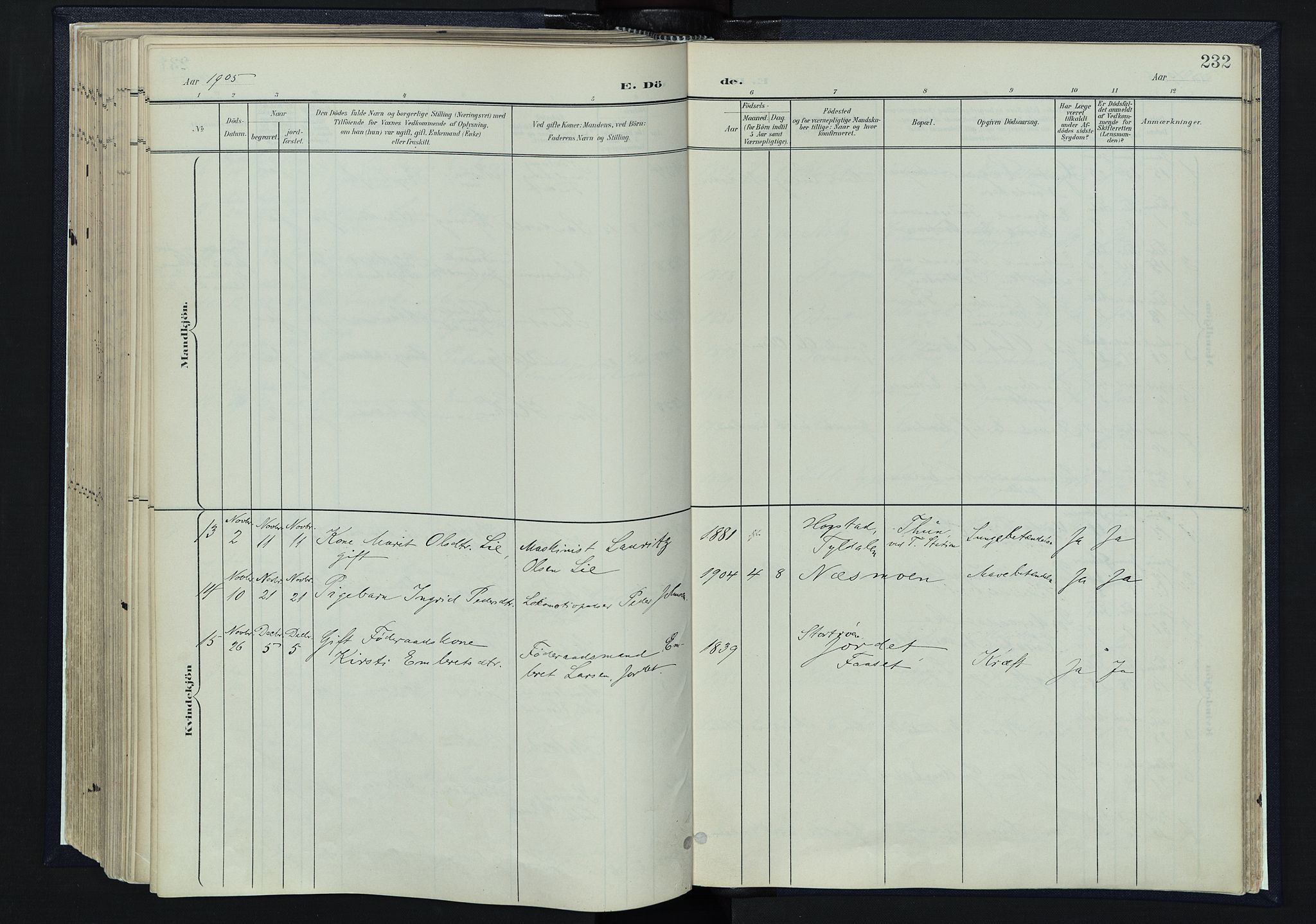 Tynset prestekontor, SAH/PREST-058/H/Ha/Haa/L0025: Parish register (official) no. 25, 1900-1914, p. 232