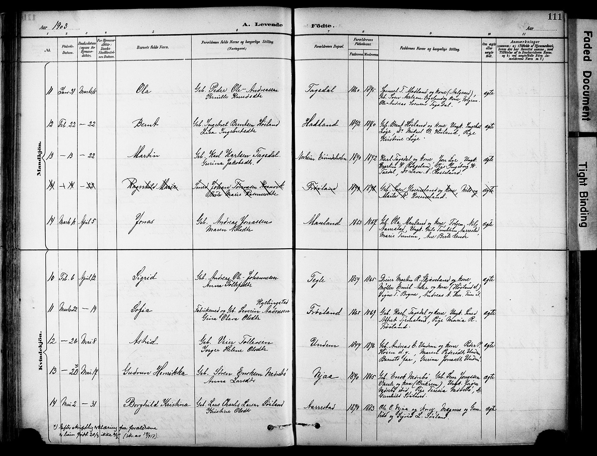 Lye sokneprestkontor, AV/SAST-A-101794/001/30BA/L0011: Parish register (official) no. A 9, 1893-1903, p. 111