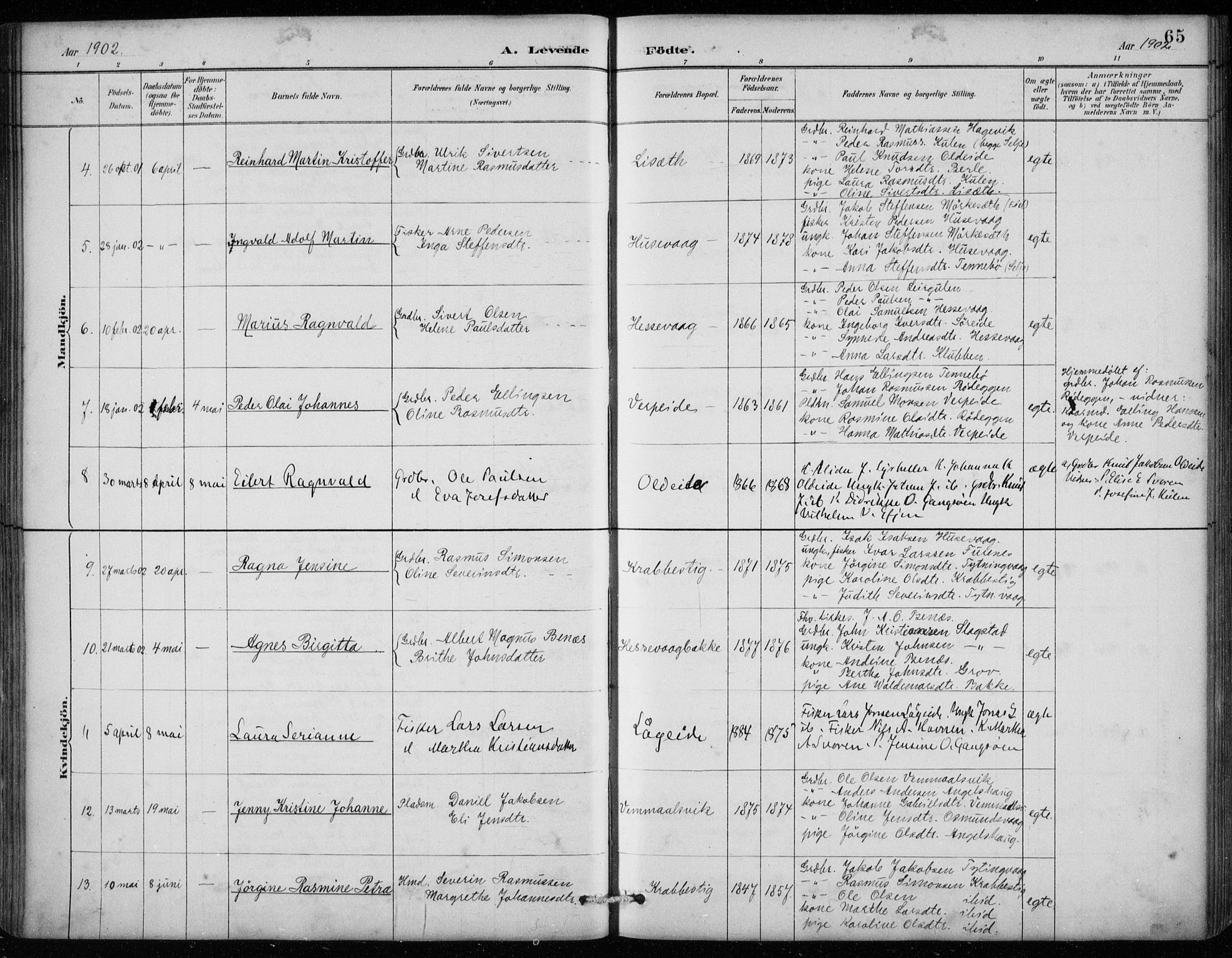 Davik sokneprestembete, AV/SAB-A-79701/H/Hab/Habc/L0002: Parish register (copy) no. C 2, 1889-1906, p. 65