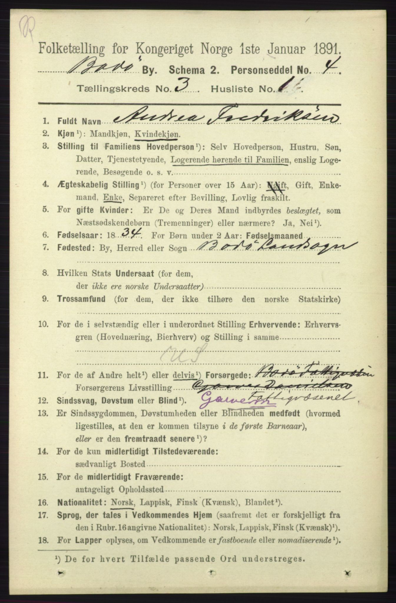 RA, 1891 census for 1804 Bodø, 1891, p. 2015