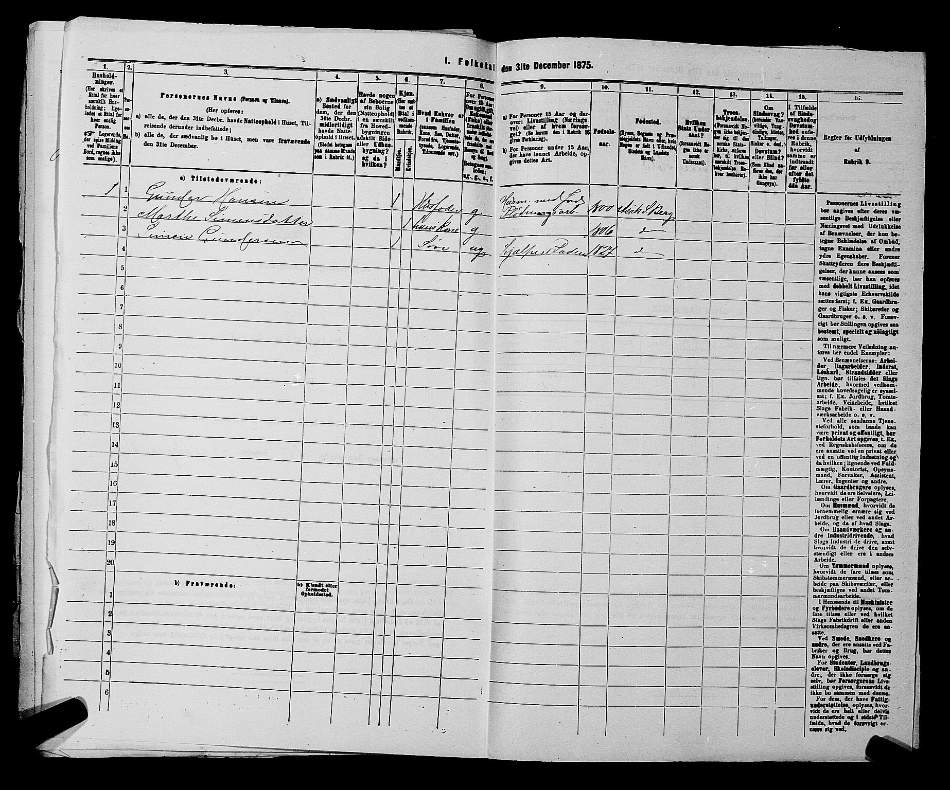 RA, 1875 census for 0116P Berg, 1875, p. 867