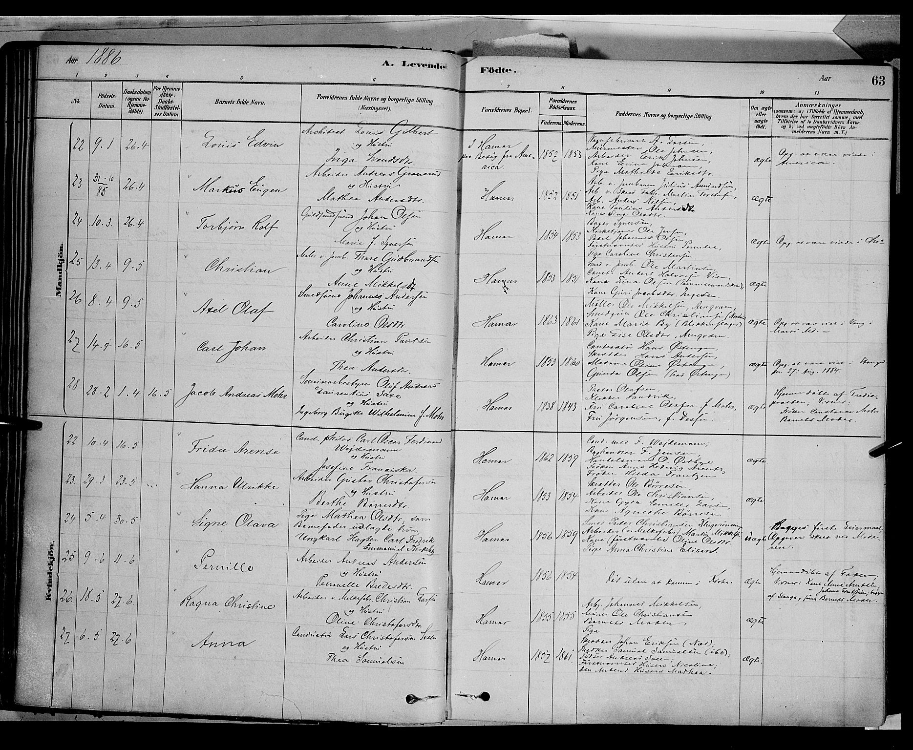 Vang prestekontor, Hedmark, AV/SAH-PREST-008/H/Ha/Haa/L0016: Parish register (official) no. 16, 1878-1889, p. 63